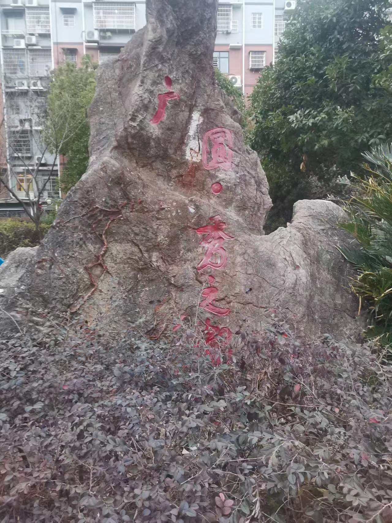 广圆秀之都  0室0厅0卫   1000.00元/月室内图1