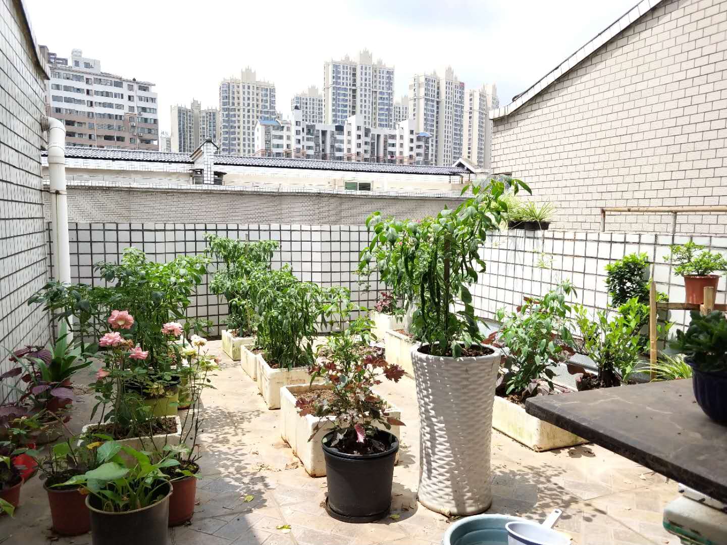 楠湖山庄  4室2厅1卫   75.00万 楠湖山庄  4室2厅1卫   75.00万室内图