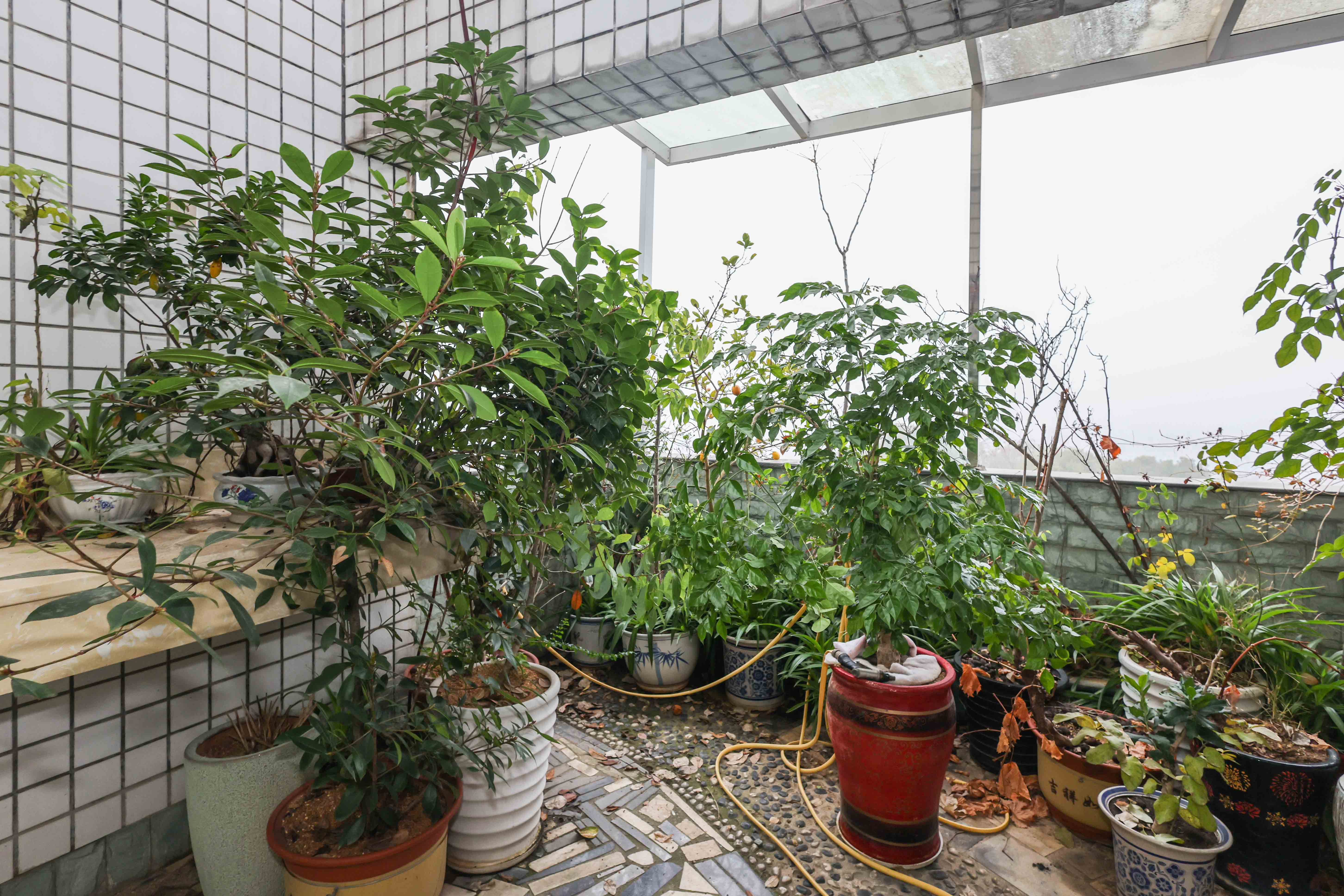 阳明山庄  5室2厅3卫   160.00万阳台