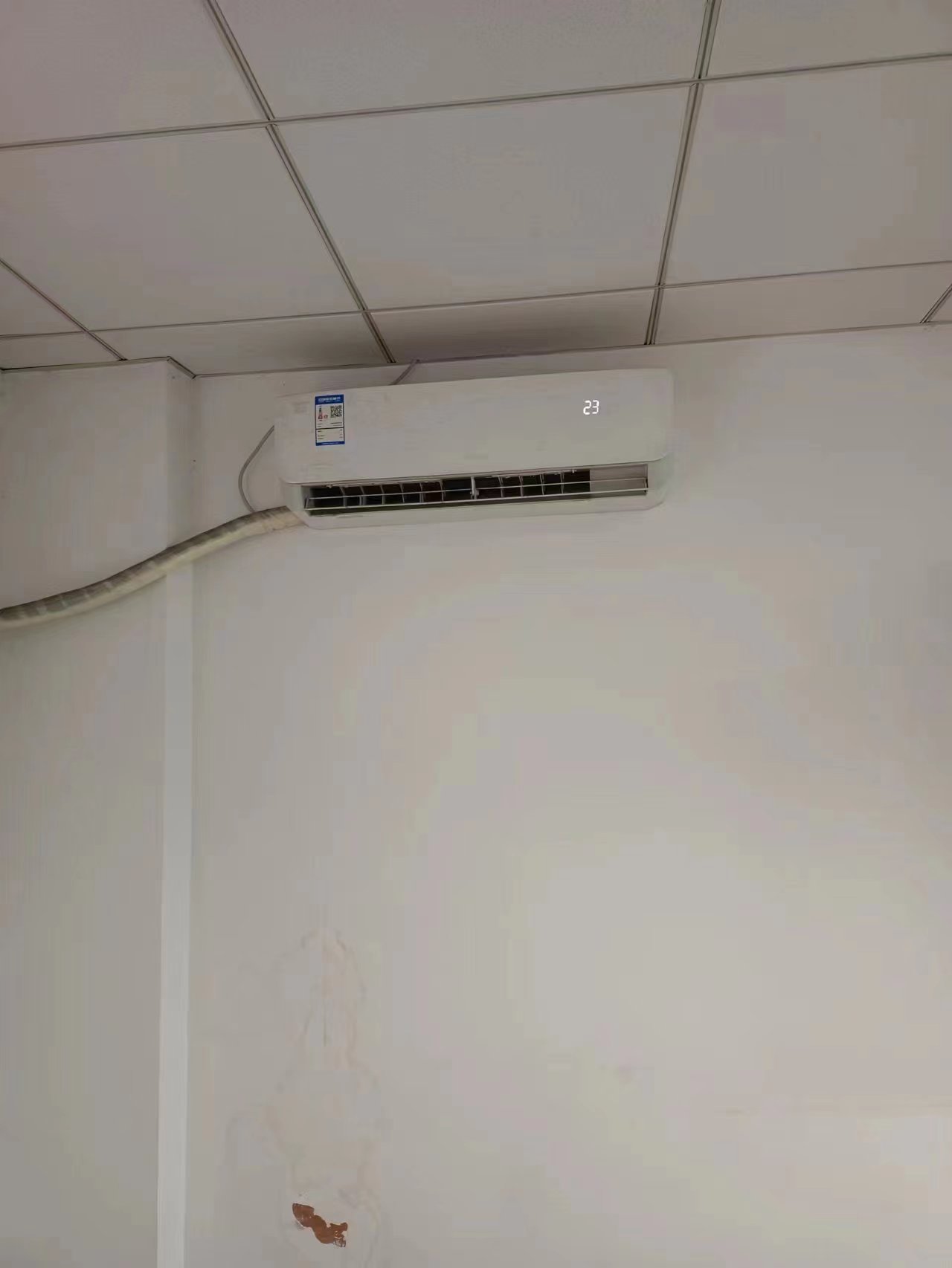 鼎丰国际  1室1厅1卫   1500.00元/月室内图