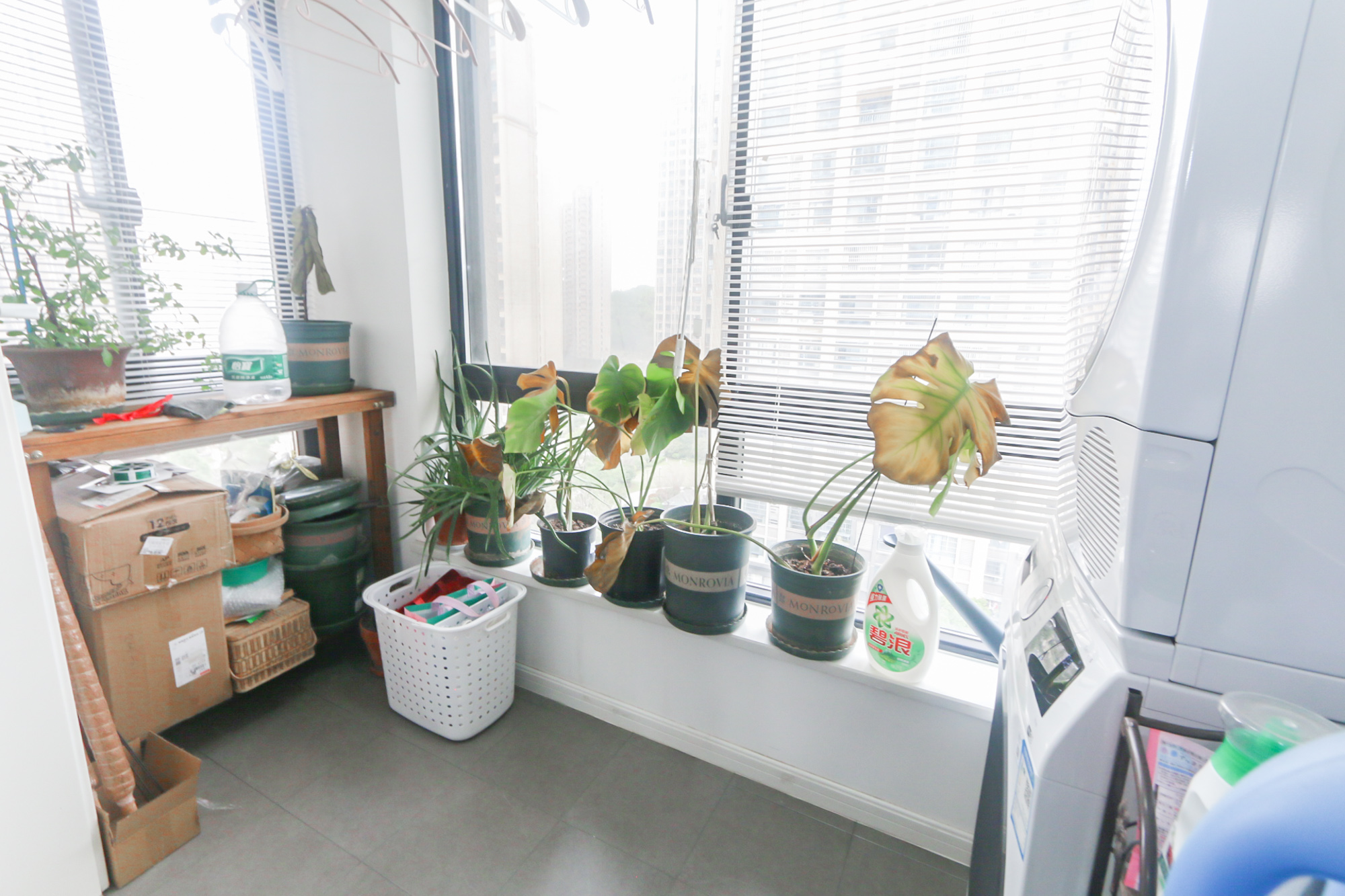 天麓尚层  3室2厅2卫    116.8万阳台