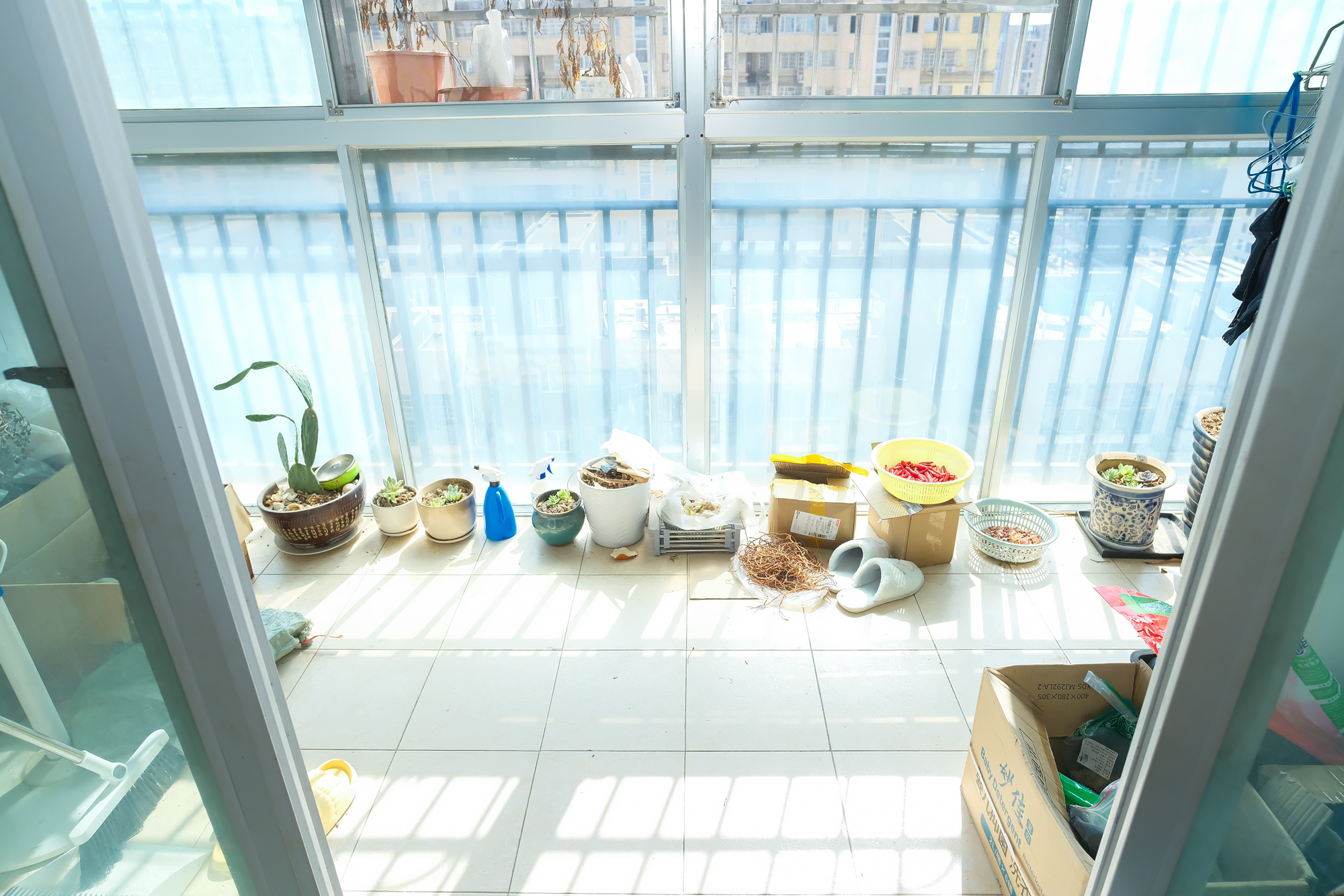 万丽景园 2室2厅1卫 56.8万 万丽景园 2室2厅1卫 56.8万阳台