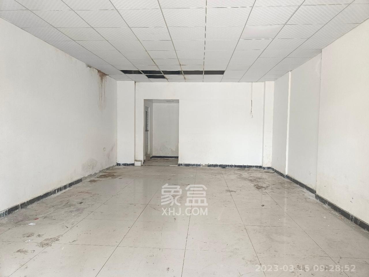 碧桂园南城首府（东宸林海）  1室1厅1卫   4500.00元/月室内图