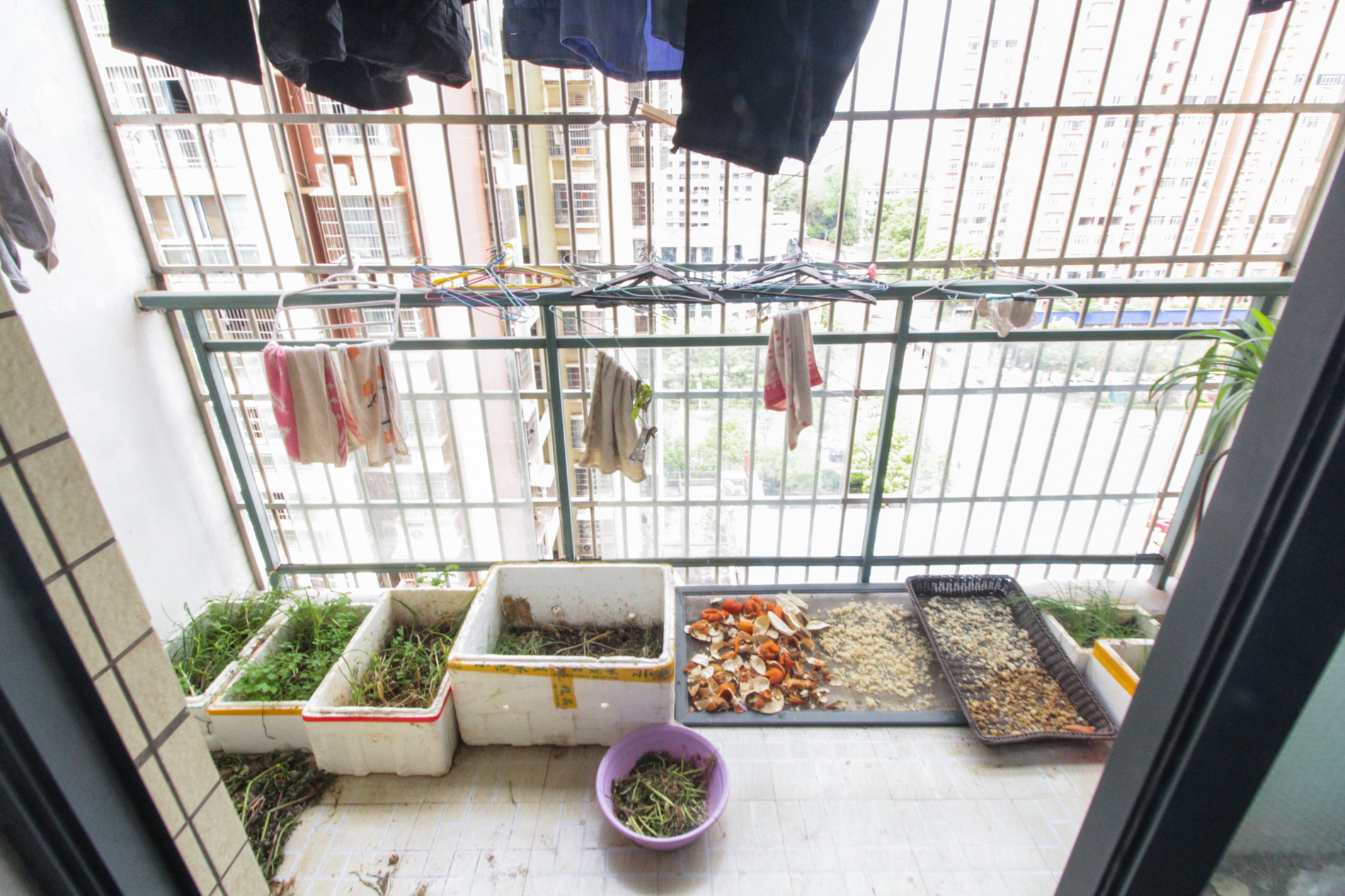 巢之恋 3室2厅1卫 80.0万 巢之恋 3室2厅1卫 80.0万阳台