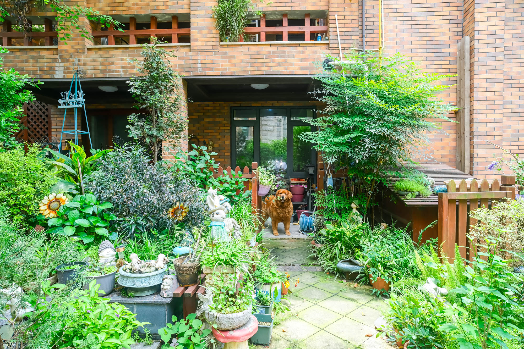 山水湾  8室5厅5卫   788.00万 山水湾  8室5厅5卫   788.00万其他