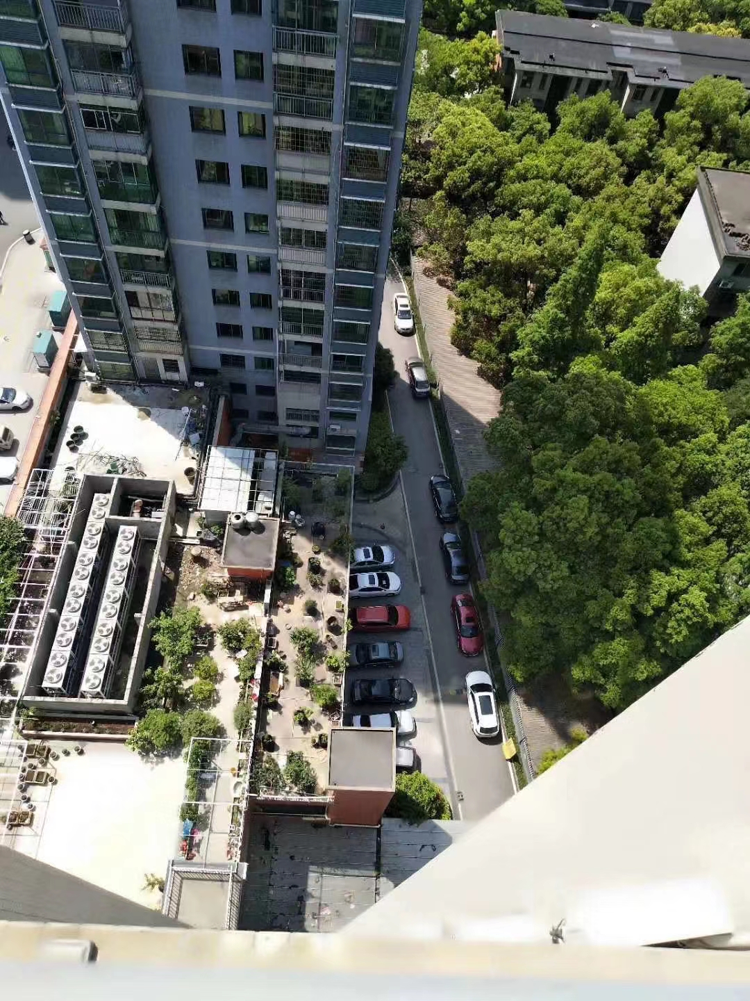 静园小区  1室1厅1卫   1300.00元/月室内图