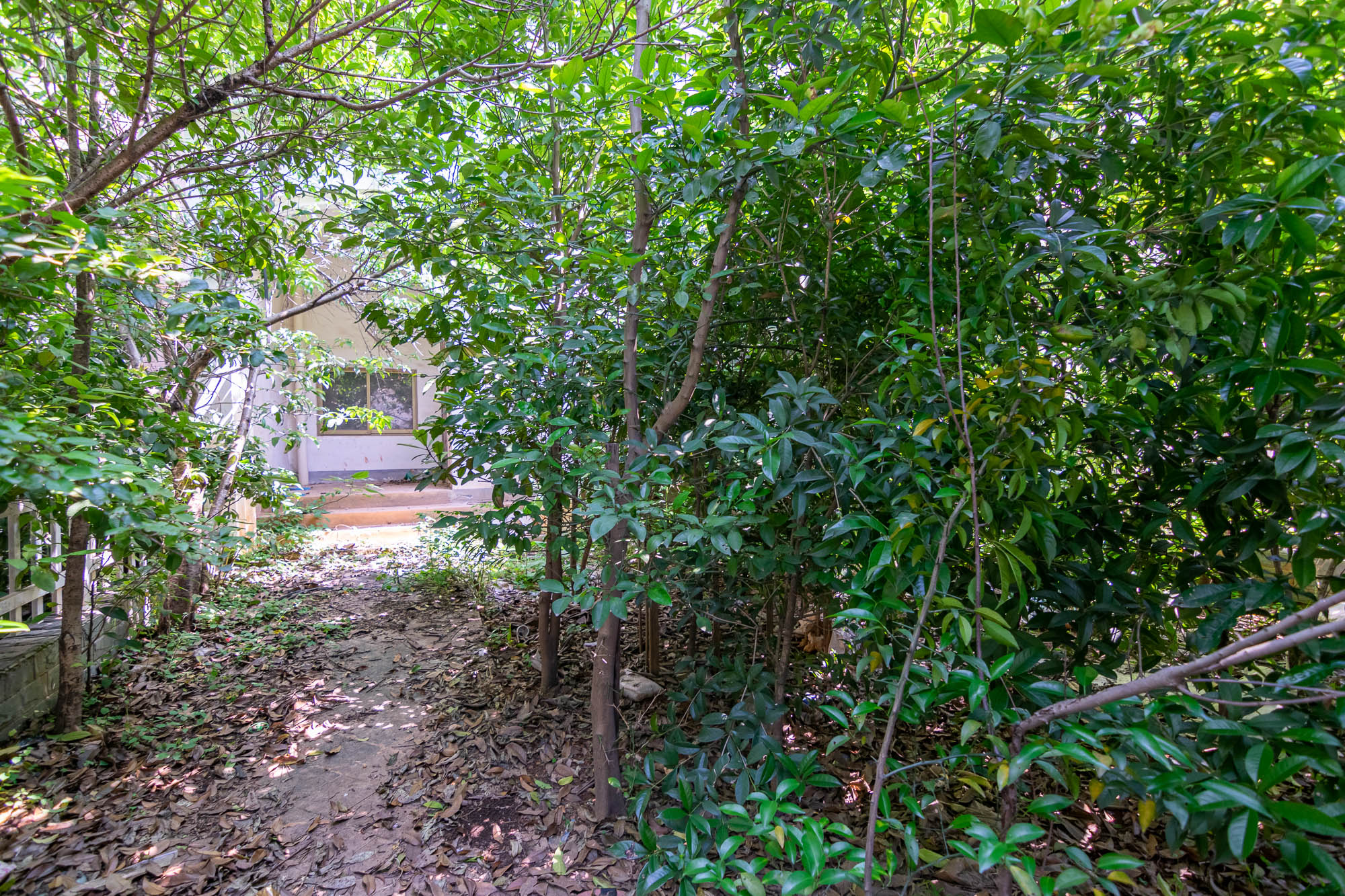 湖南报业文化城（米地亚家园）  6室2厅3卫   290.00万其他