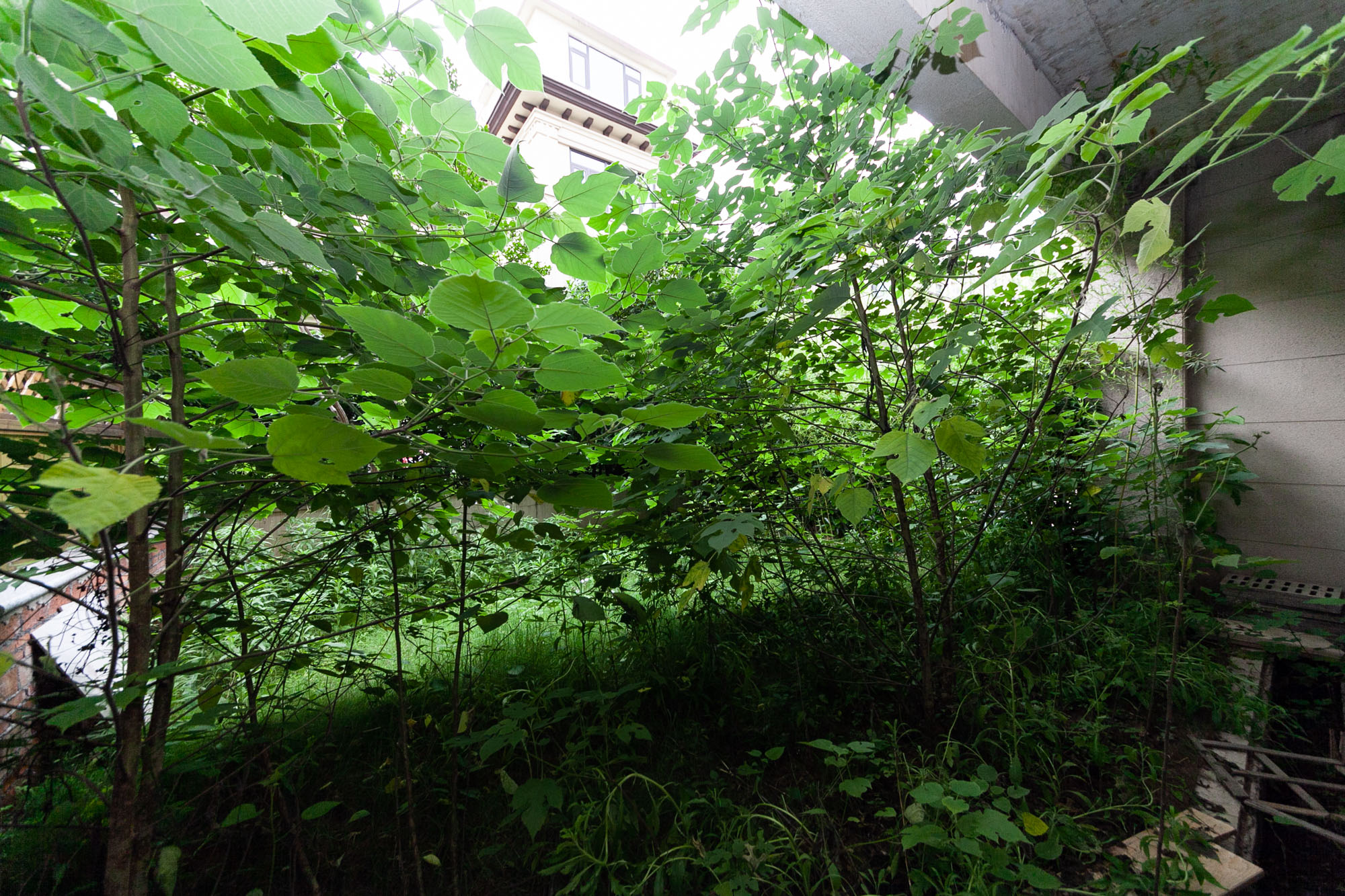 龙湖璟宸原著(龙湖紫宸)  5室2厅2卫    380.0万 龙湖璟宸原著(龙湖紫宸)  5室2厅2卫    380.0万其他