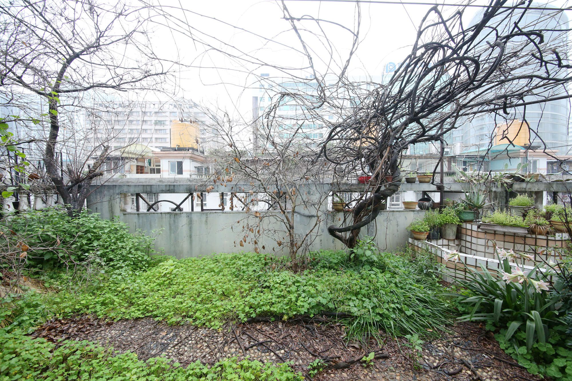 水月林公寓（建行宿舍）  4室3厅3卫   167.50万阳台