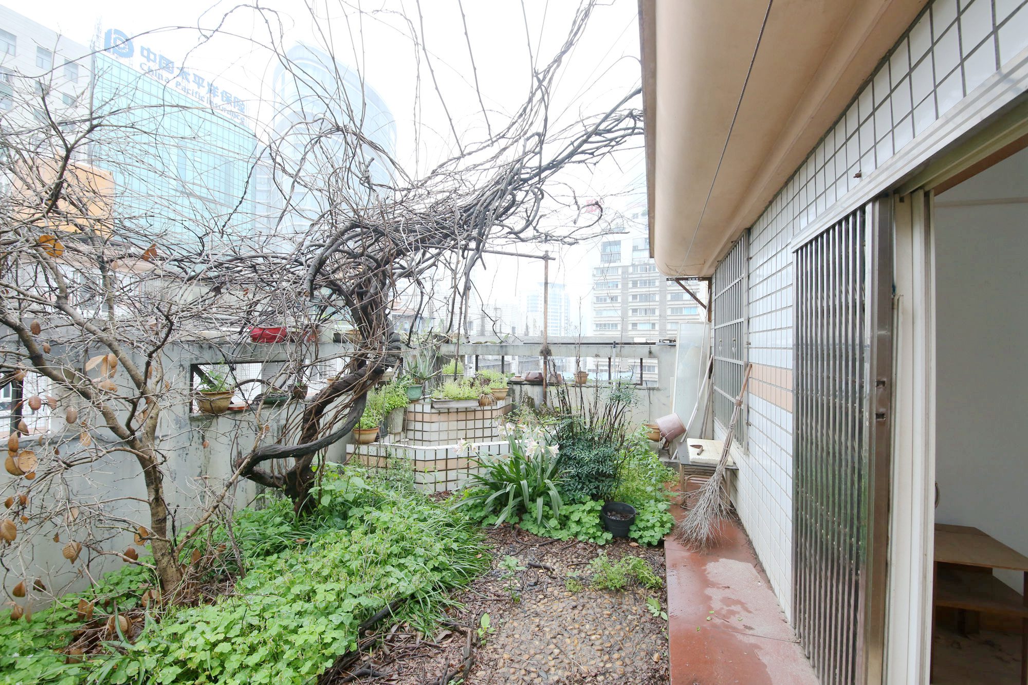 水月林公寓（建行宿舍）  4室3厅3卫   167.50万阳台