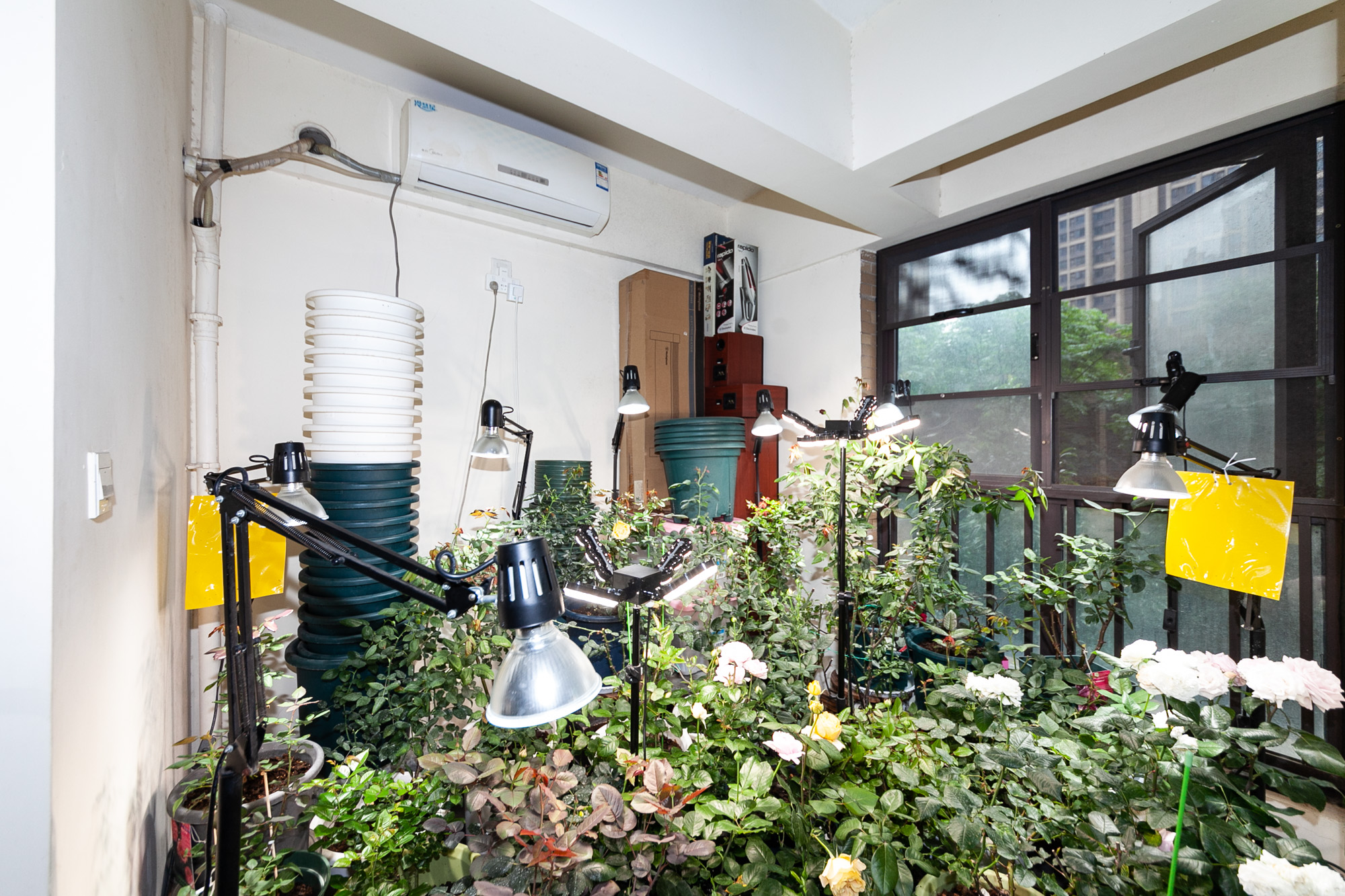 时代倾城一期 3室2厅1卫 79.80万 时代倾城一期 3室2厅1卫 79.80万阳台