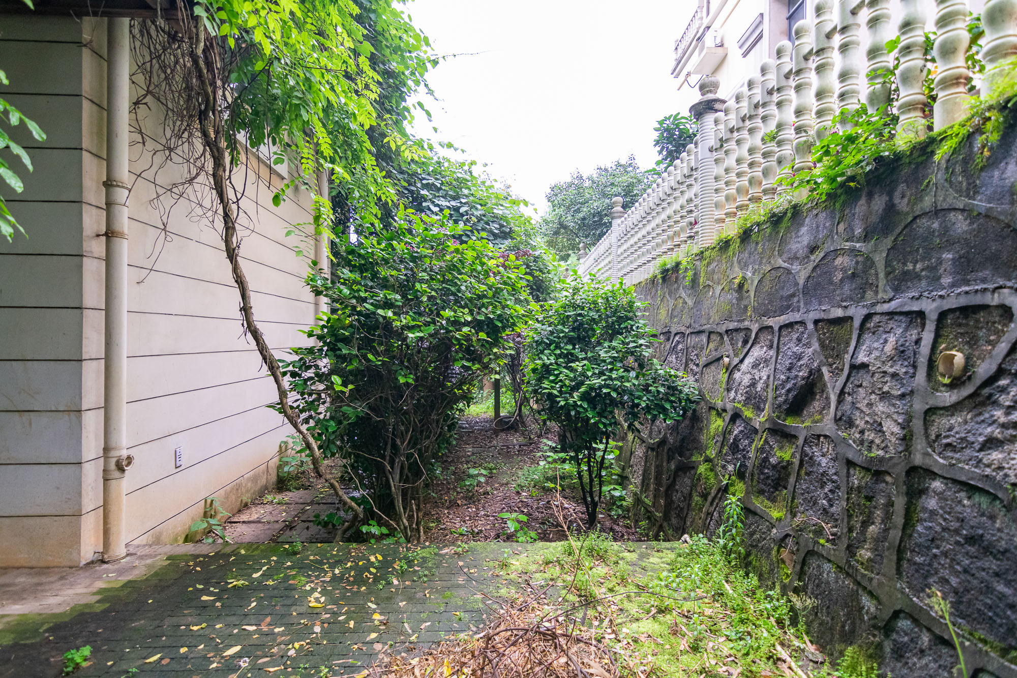 普瑞斯堡  6室3厅1卫   848.00万其他