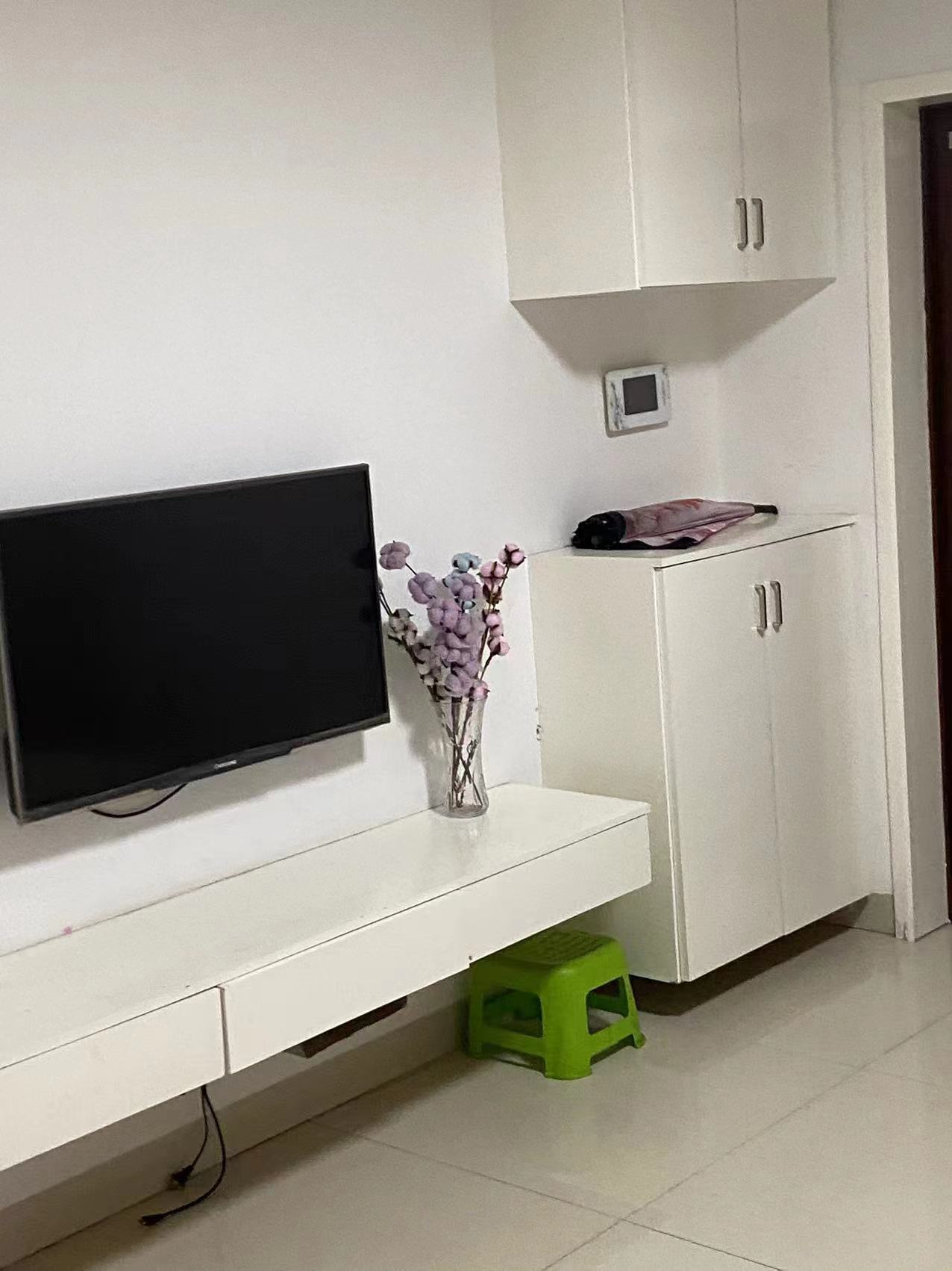 中建岳阳中心  1室1厅1卫   1500.00元/月室内图1