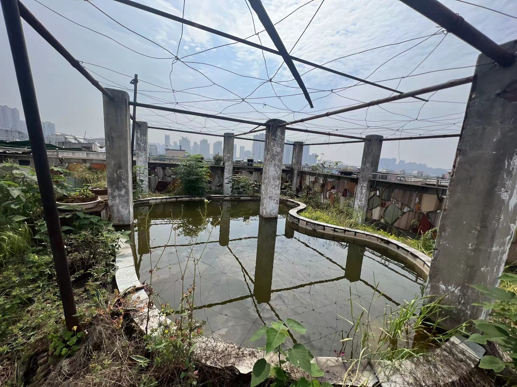 芙蓉小区  3室2厅1卫   40.80万小区图