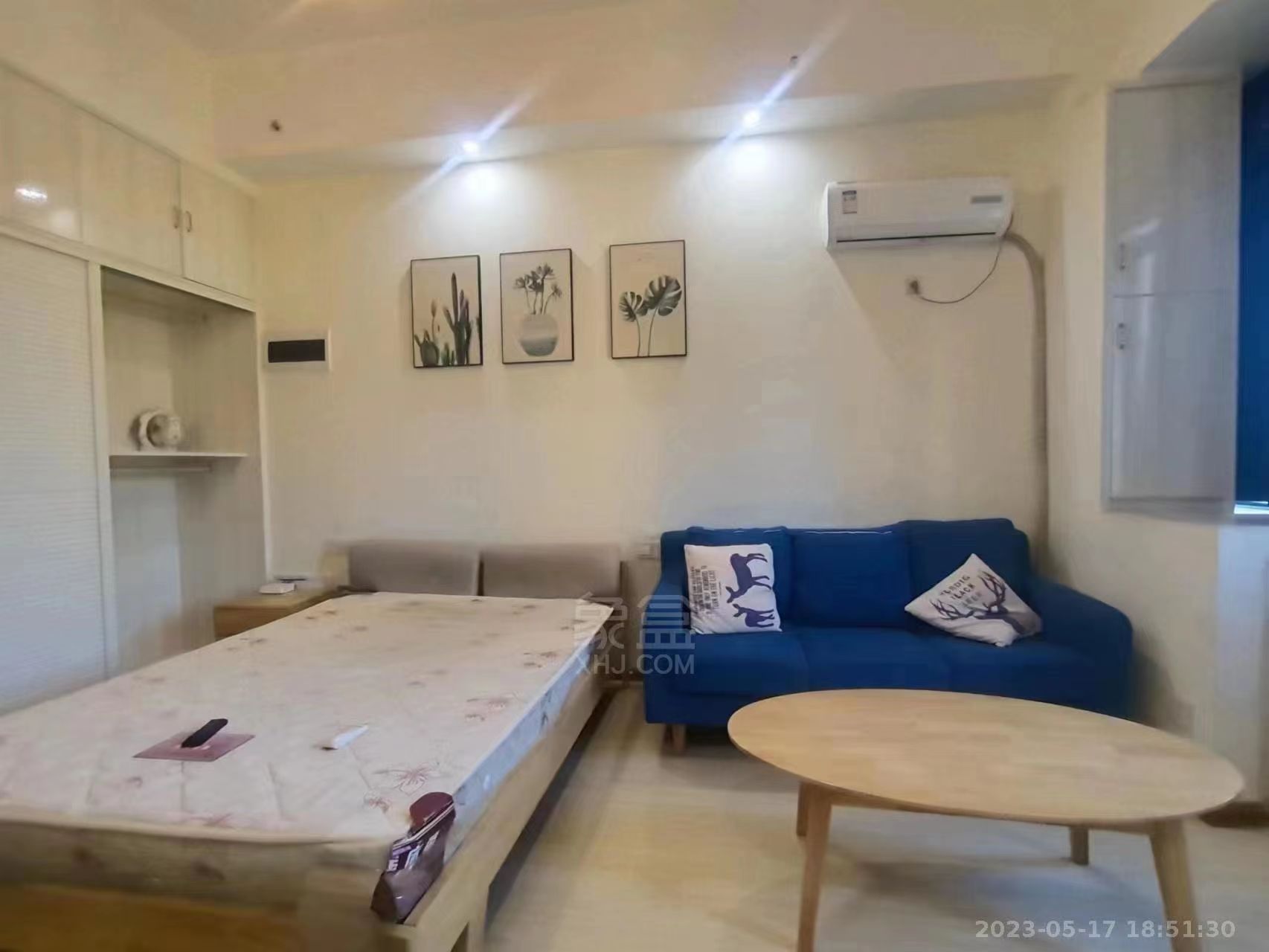 白金汉宫 1室1厅1卫 24.2万 白金汉宫 1室1厅1卫 24.2万室内图