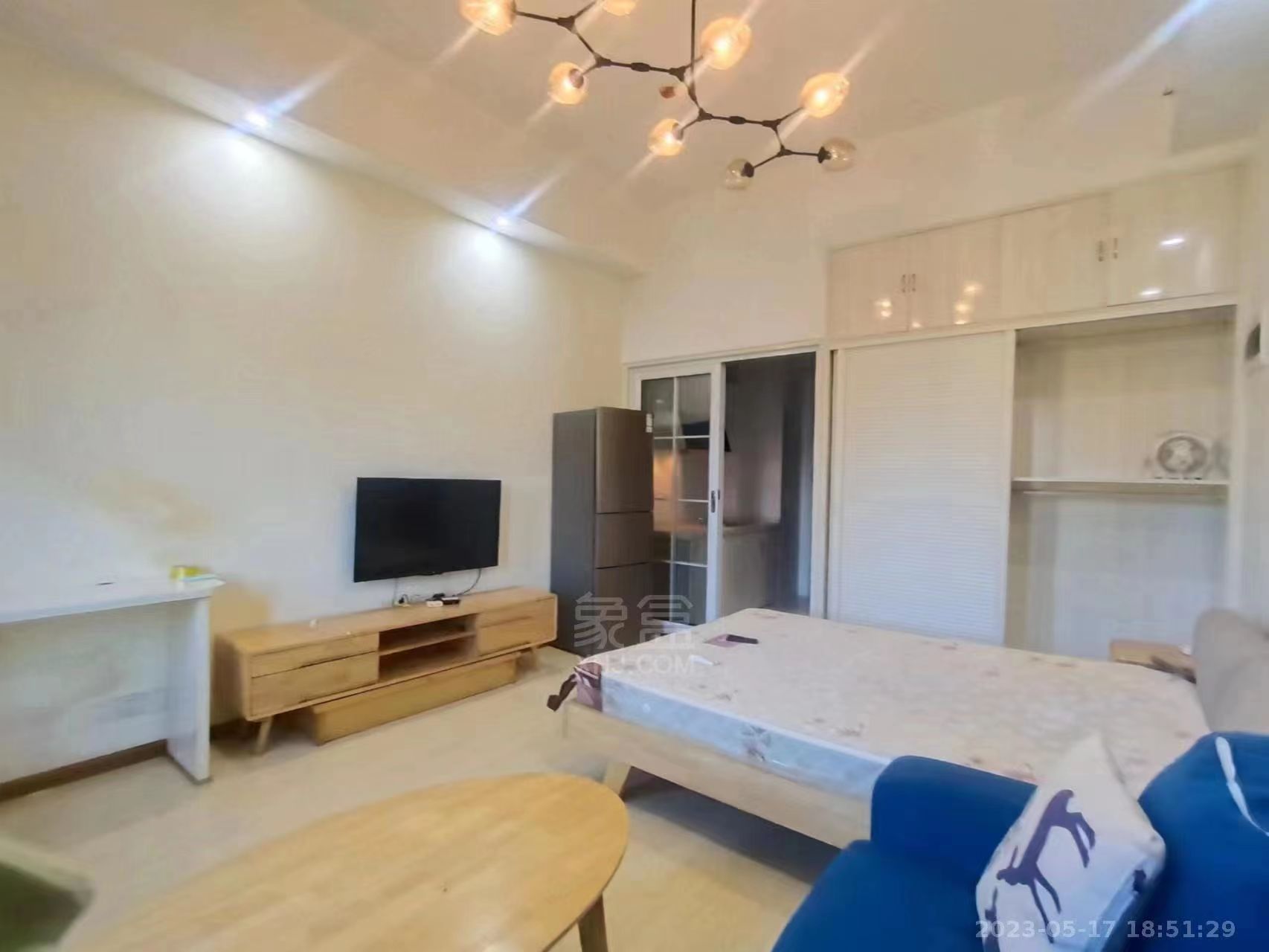 白金汉宫 1室1厅1卫 24.2万 白金汉宫 1室1厅1卫 24.2万室内图