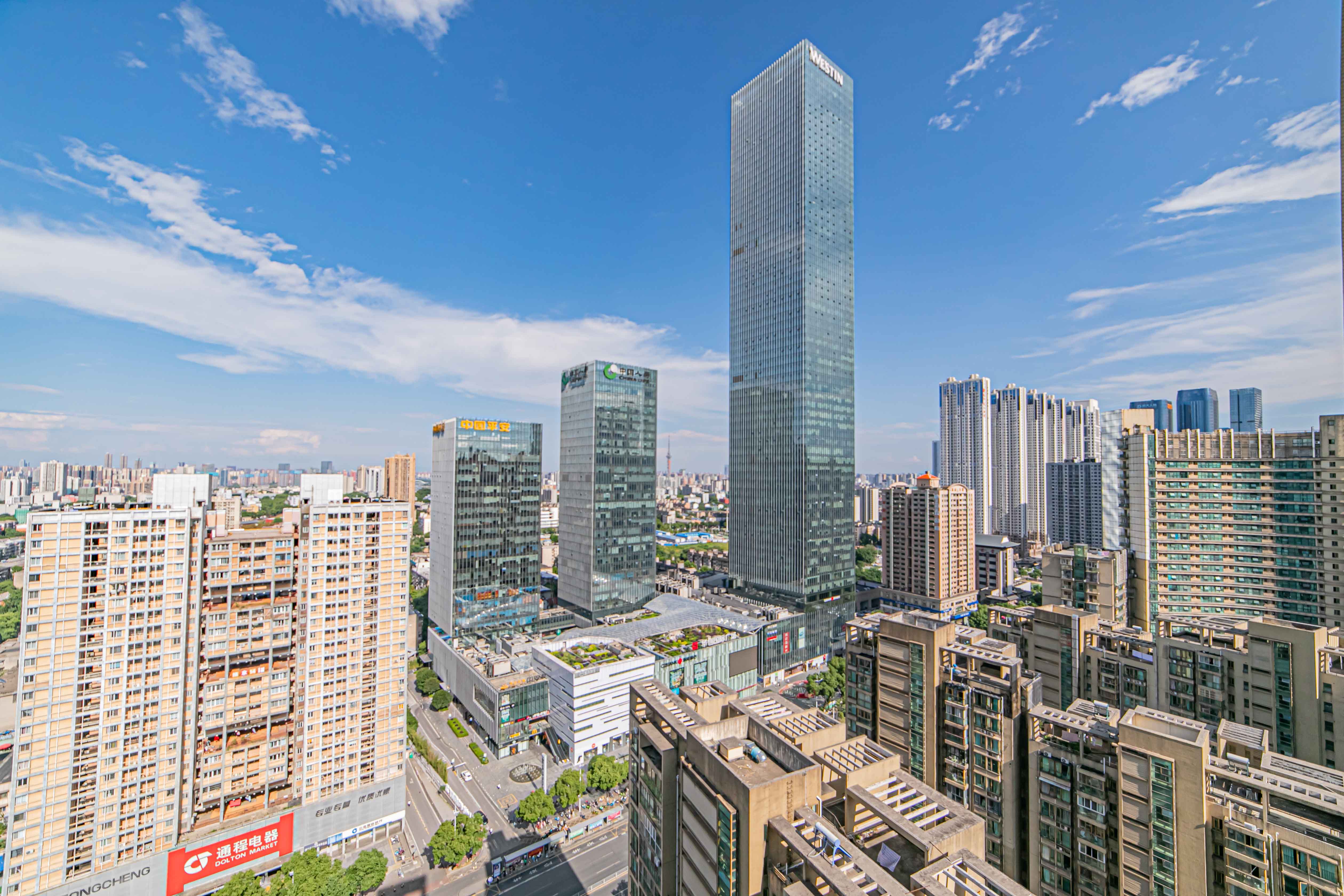 天健芙蓉盛世一期  4室2厅2卫    185.0万其他