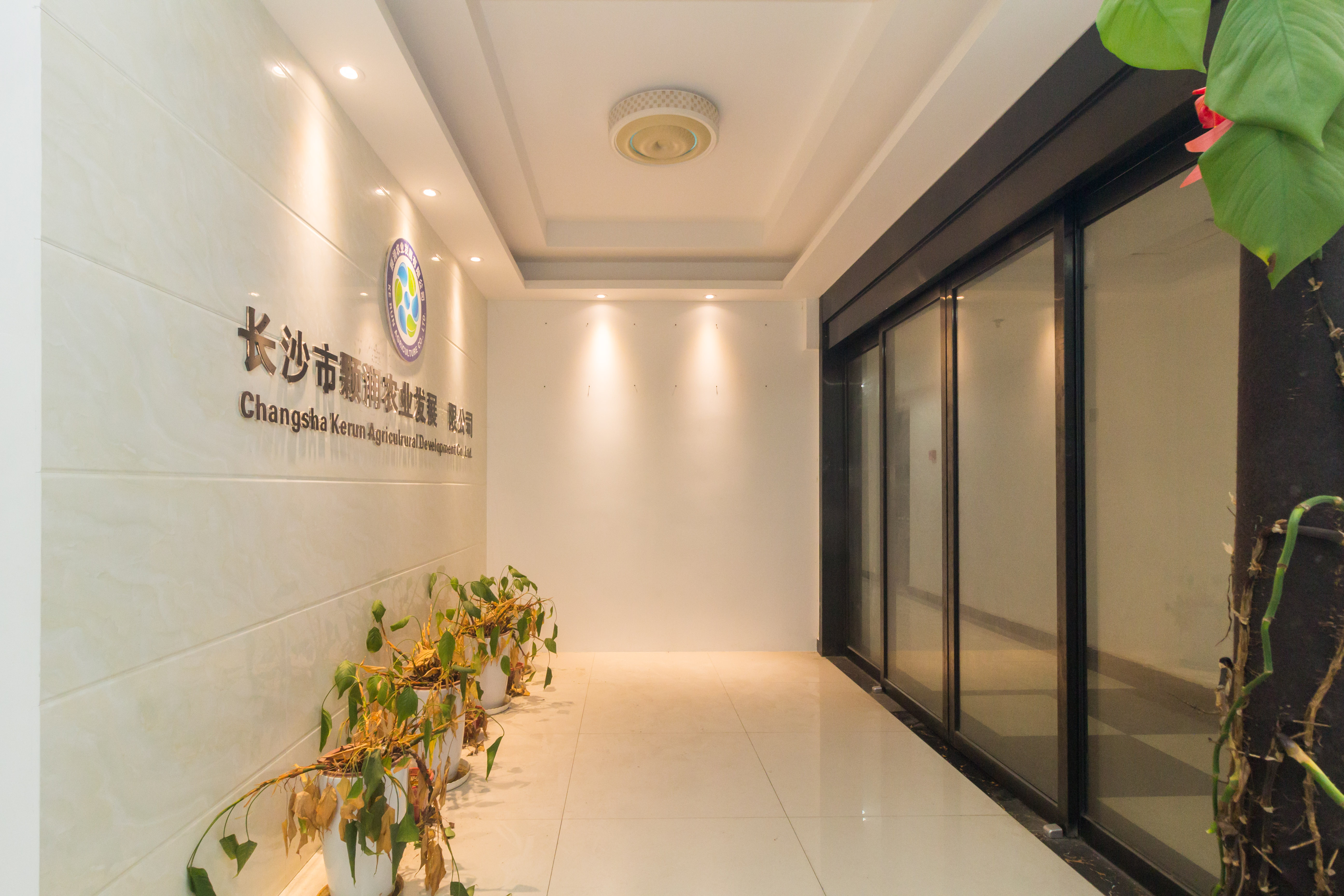 东岸城邦  1室1厅1卫   32.00万客厅