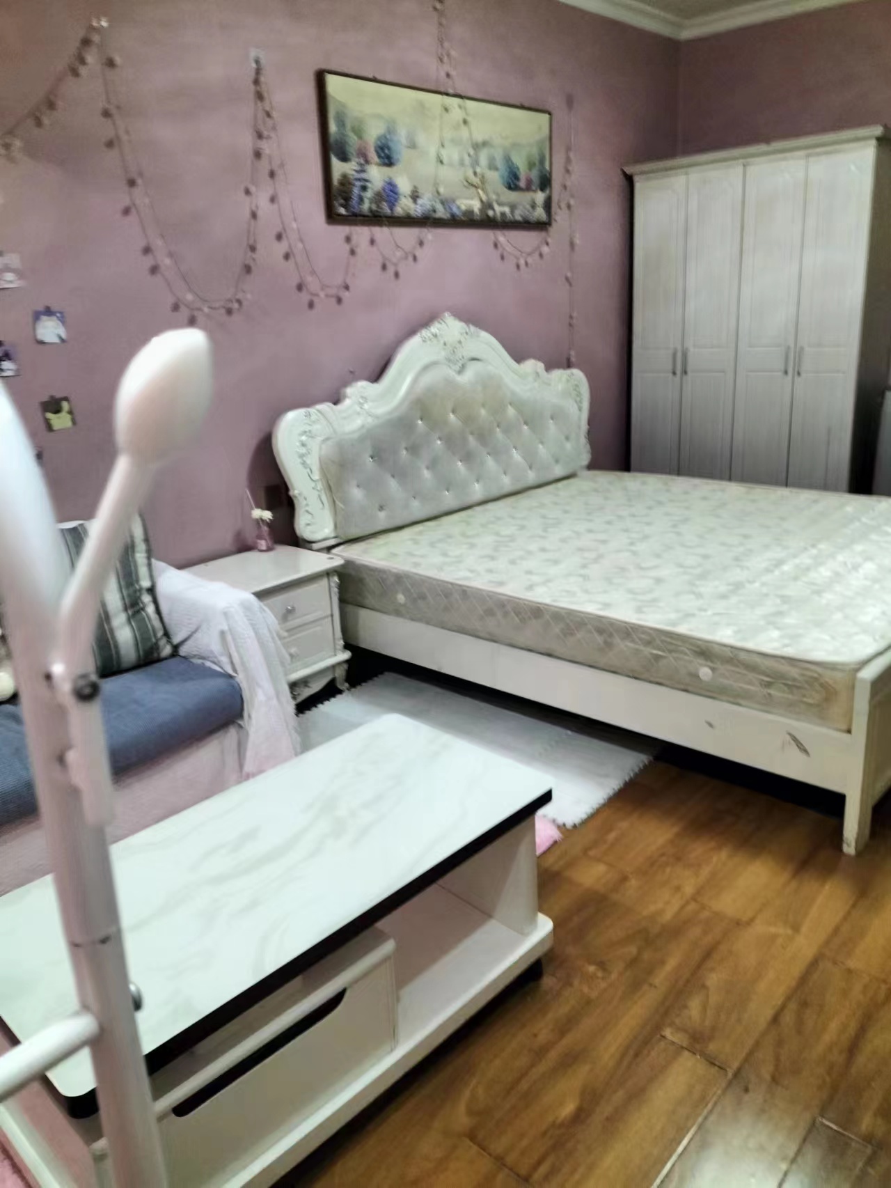 旺角星辰  1室1厅1卫   1400.00元/月室内图