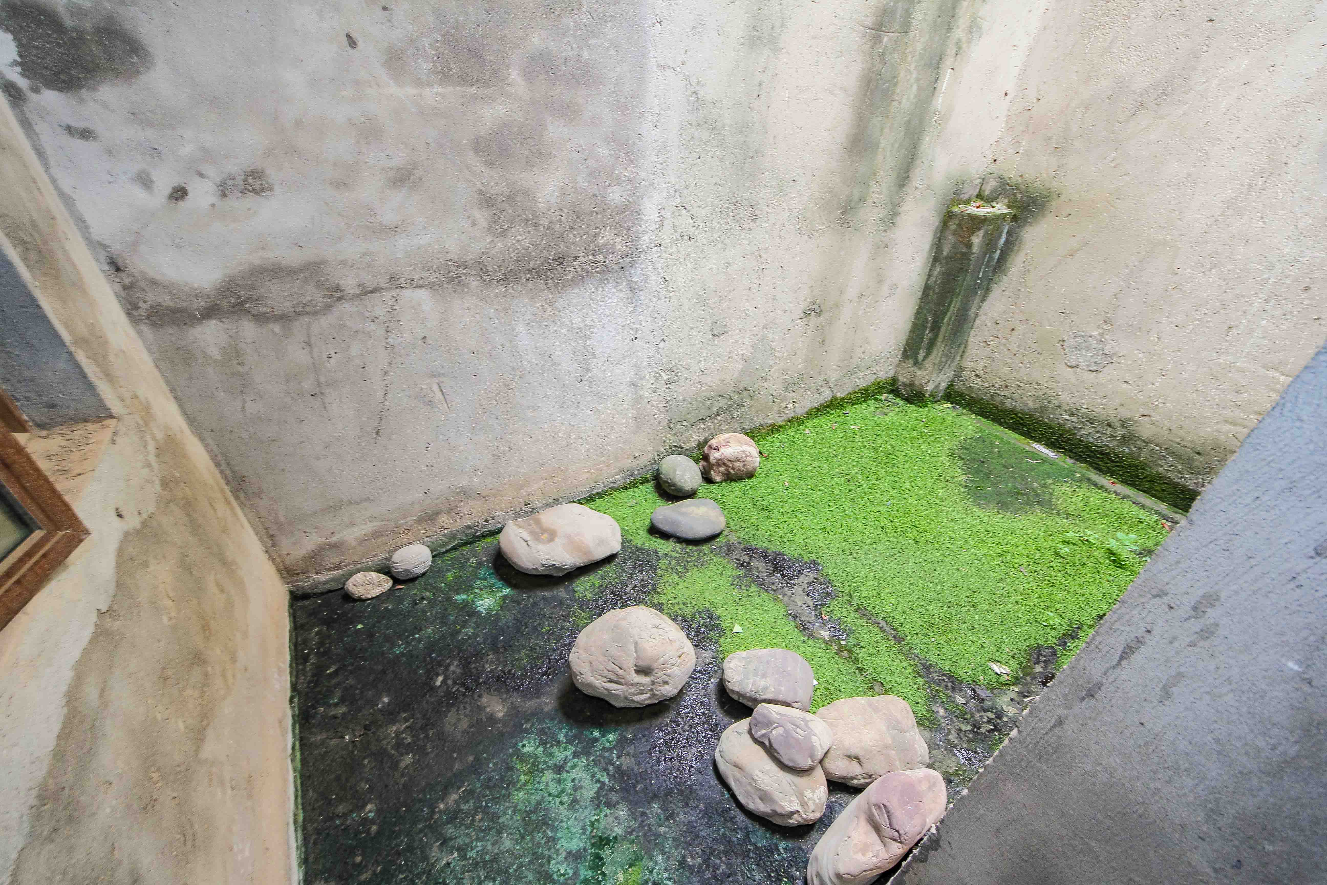 麓山恋迪亚溪谷 6室2厅3卫 328.0万 麓山恋迪亚溪谷 6室2厅3卫 328.0万其他