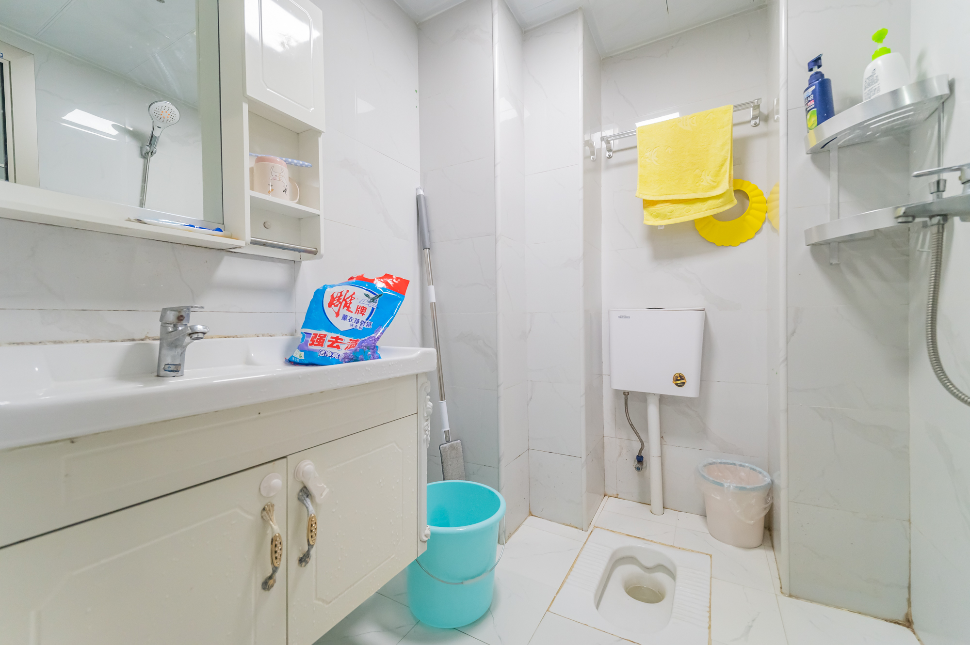 国泰九龙湾  1室1厅1卫    34.6万卫生间