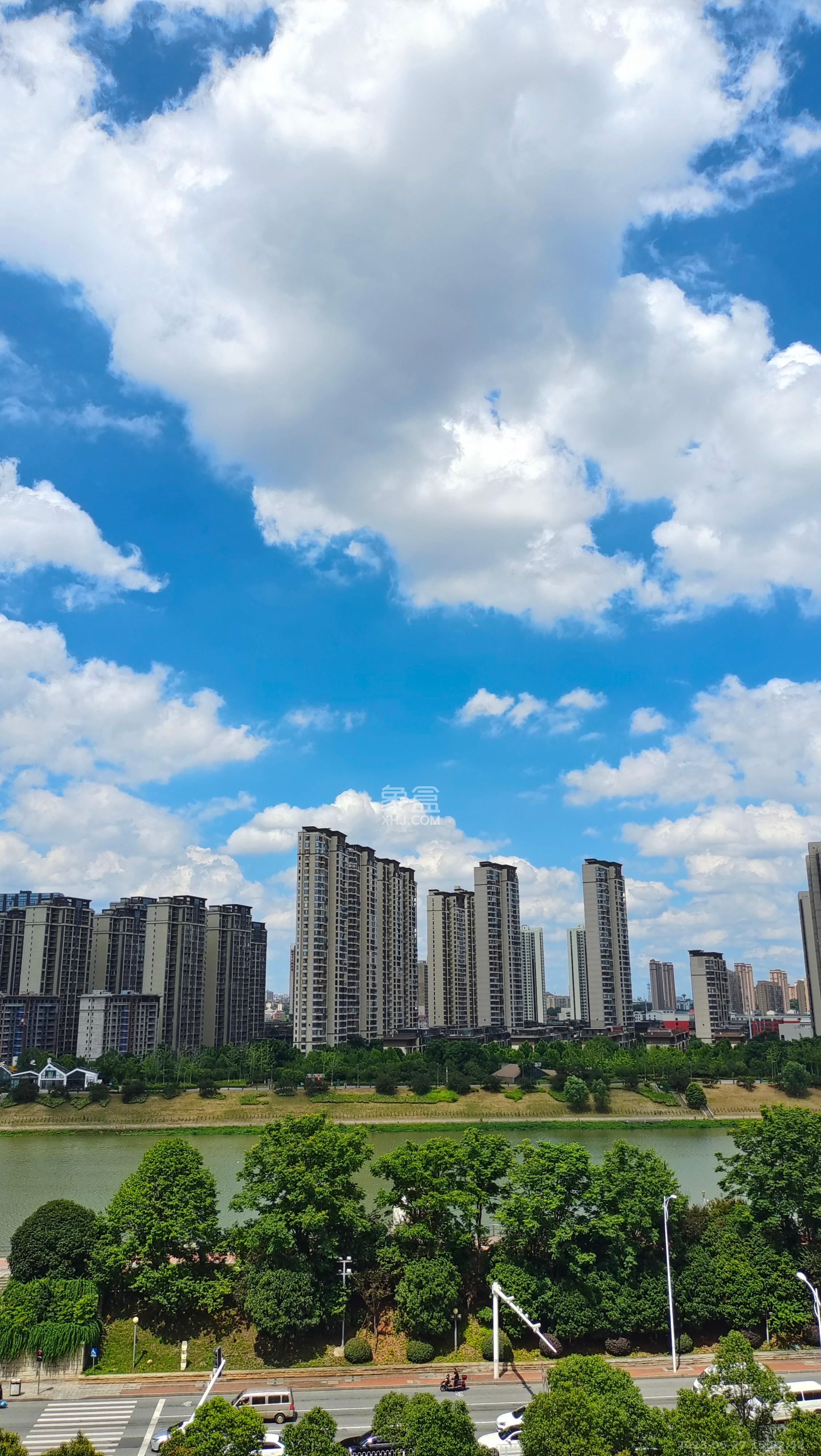 鑫科明珠  1室1厅1卫   20000.00元/月室内图