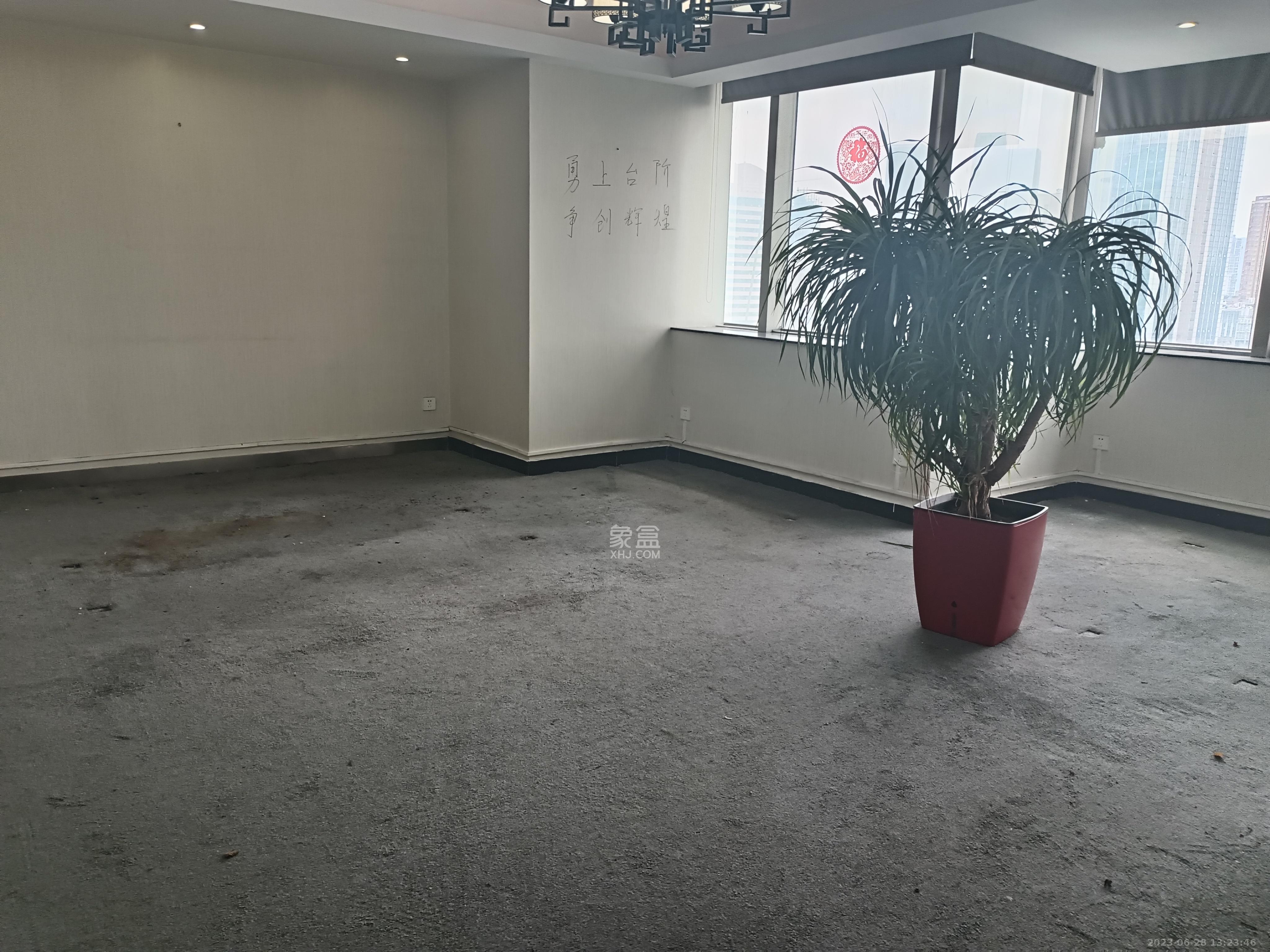 华侨国际  1室1厅1卫   15000.00元/月室内图