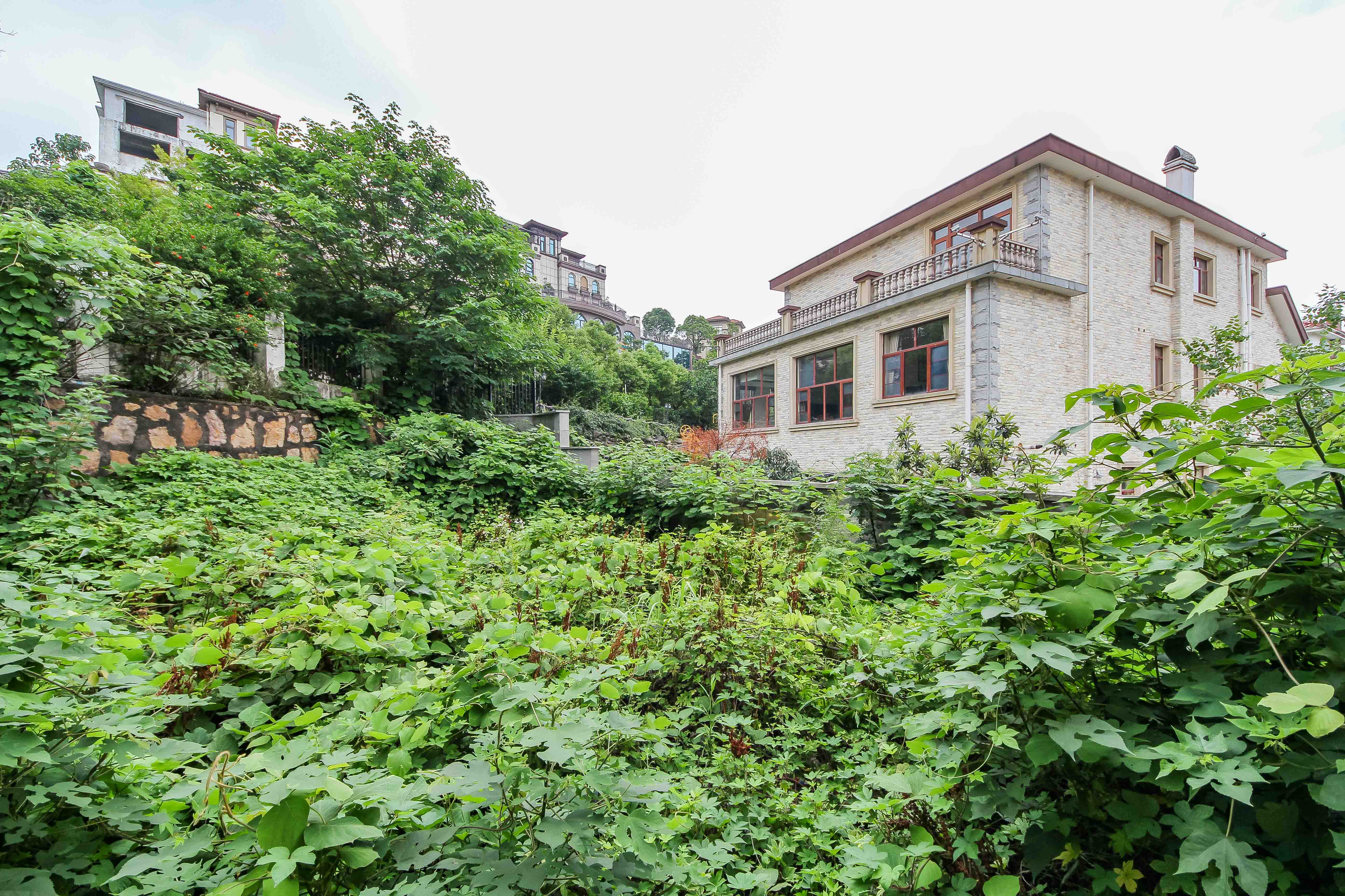 卓越麓山别墅（麓山峰境产权麓山花苑）  6室3厅5卫   1380.00万其他