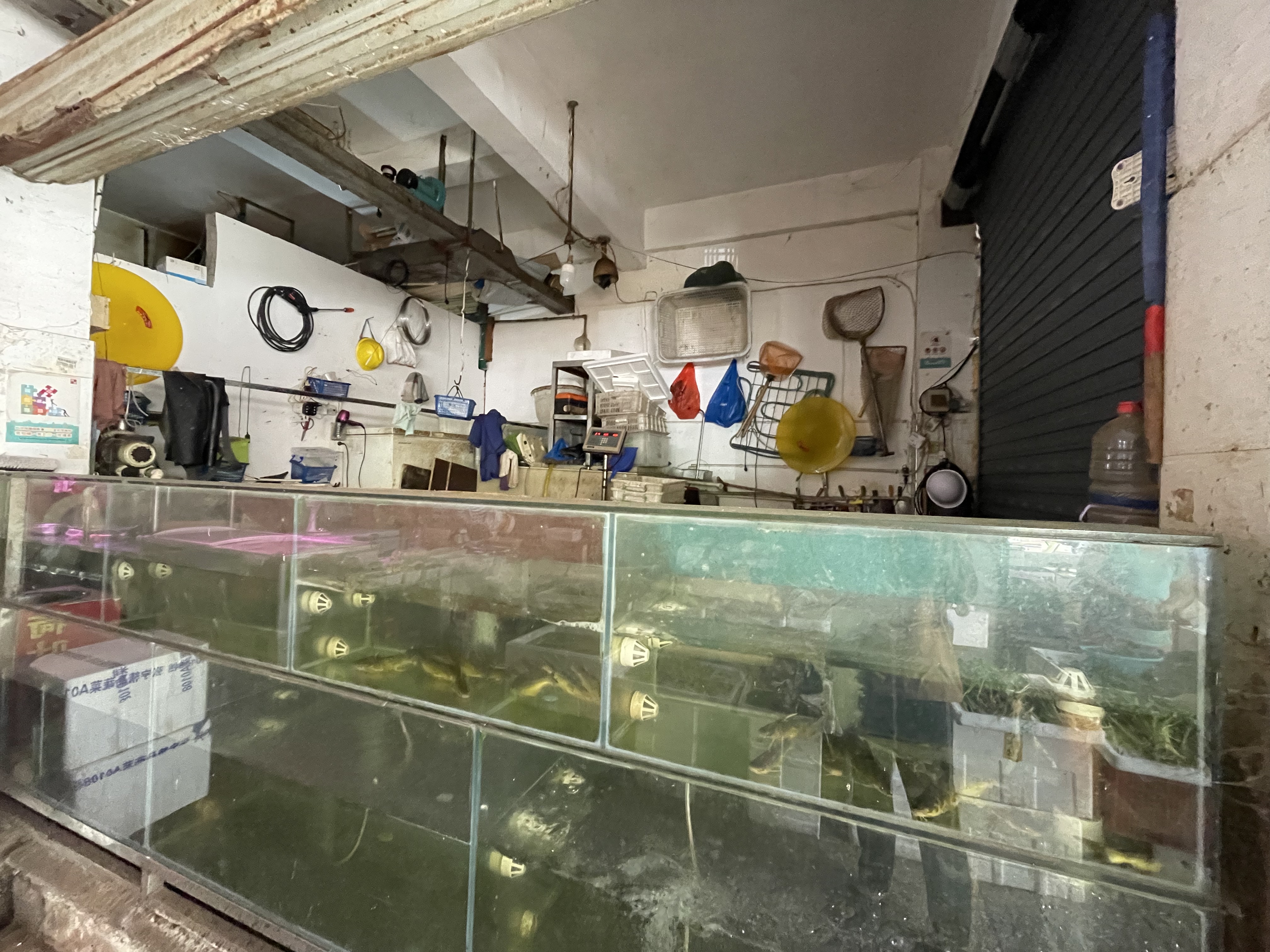 星沙国际物流园/泉星社区 1室1厅1卫 150.0万 星沙国际物流园/泉星社区 1室1厅1卫 150.0万客厅