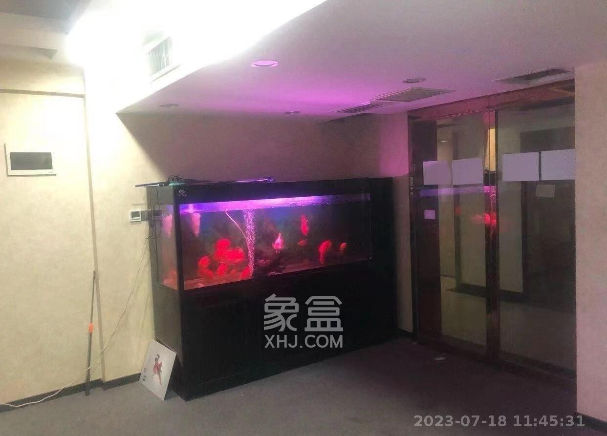 明城国际  1室1厅1卫   10000.00元/月室内图1