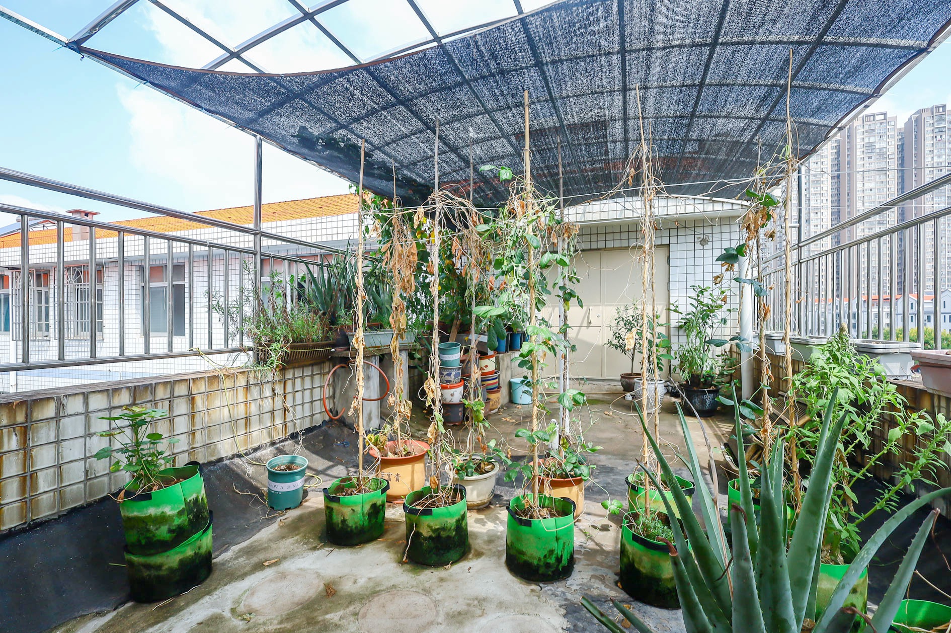 星沙汽配城（大塘村农机市场）  3室2厅1卫    65.0万阳台