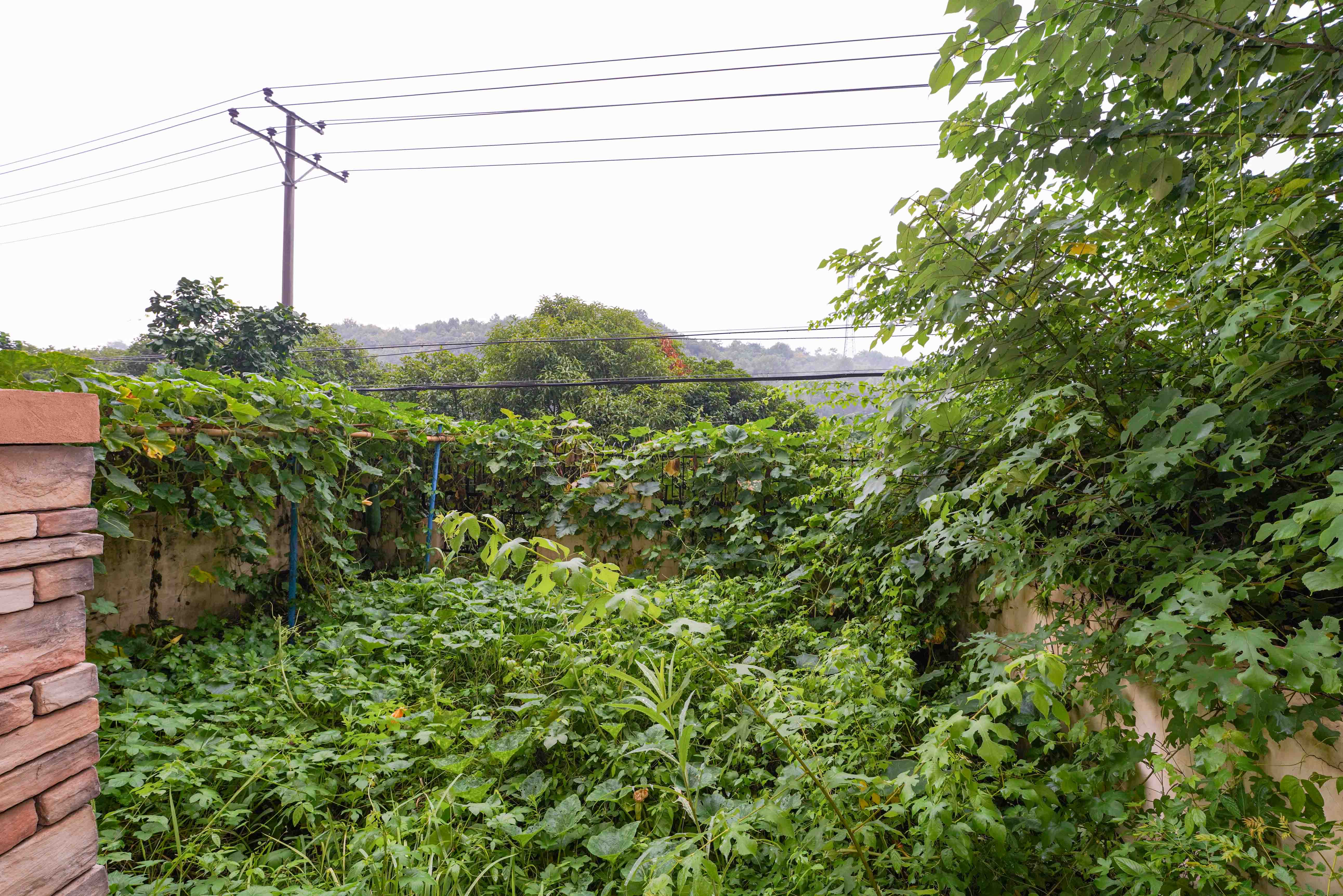 佳兆业水岸新都  5室2厅2卫   350.00万阳台