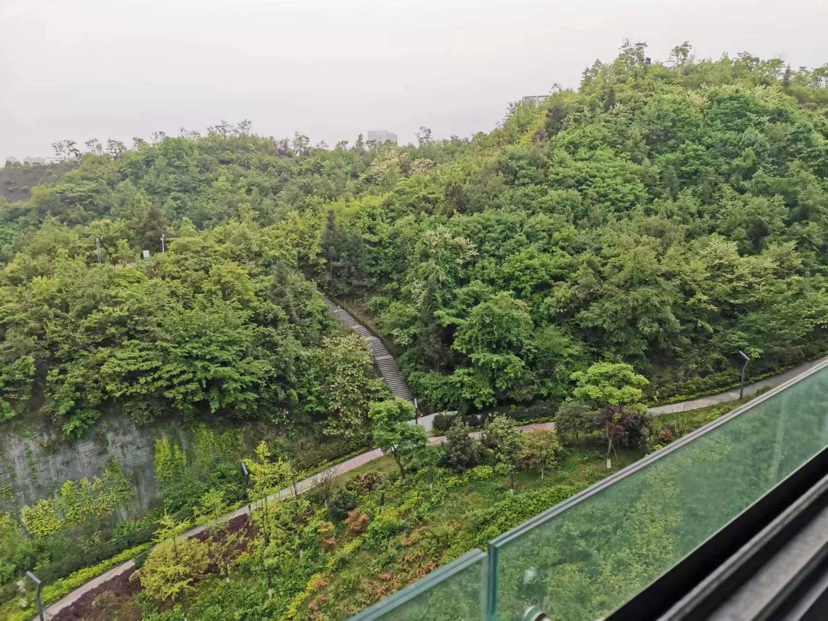 北大资源梦想城1.2号地块 1室1厅1卫 1500.00元/月 北大资源梦想城1.2号地块 1室1厅1卫 1500.00元/月室内图