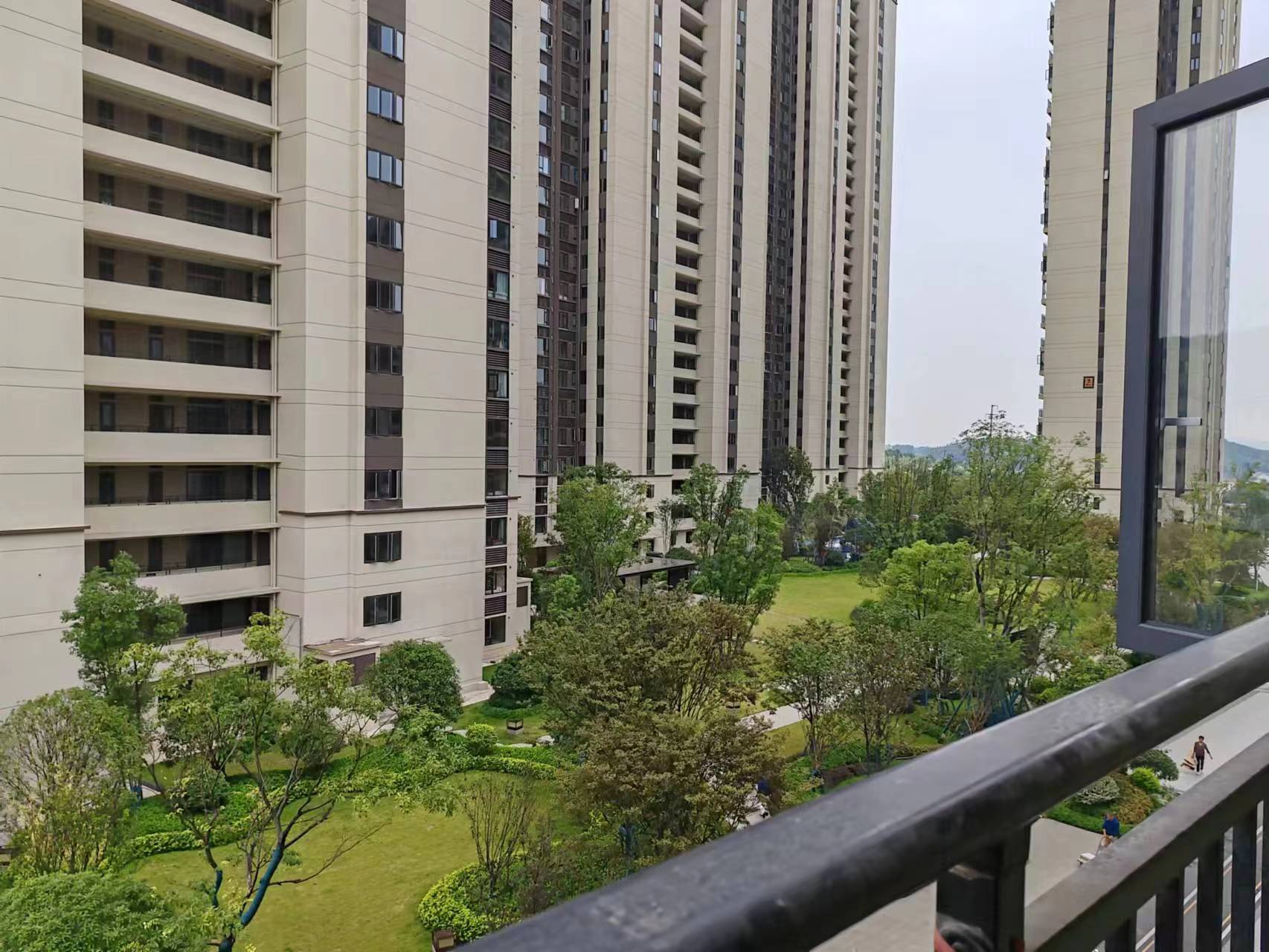 碧桂园翘楚棠  1室1厅1卫   800.00元/月室内图1