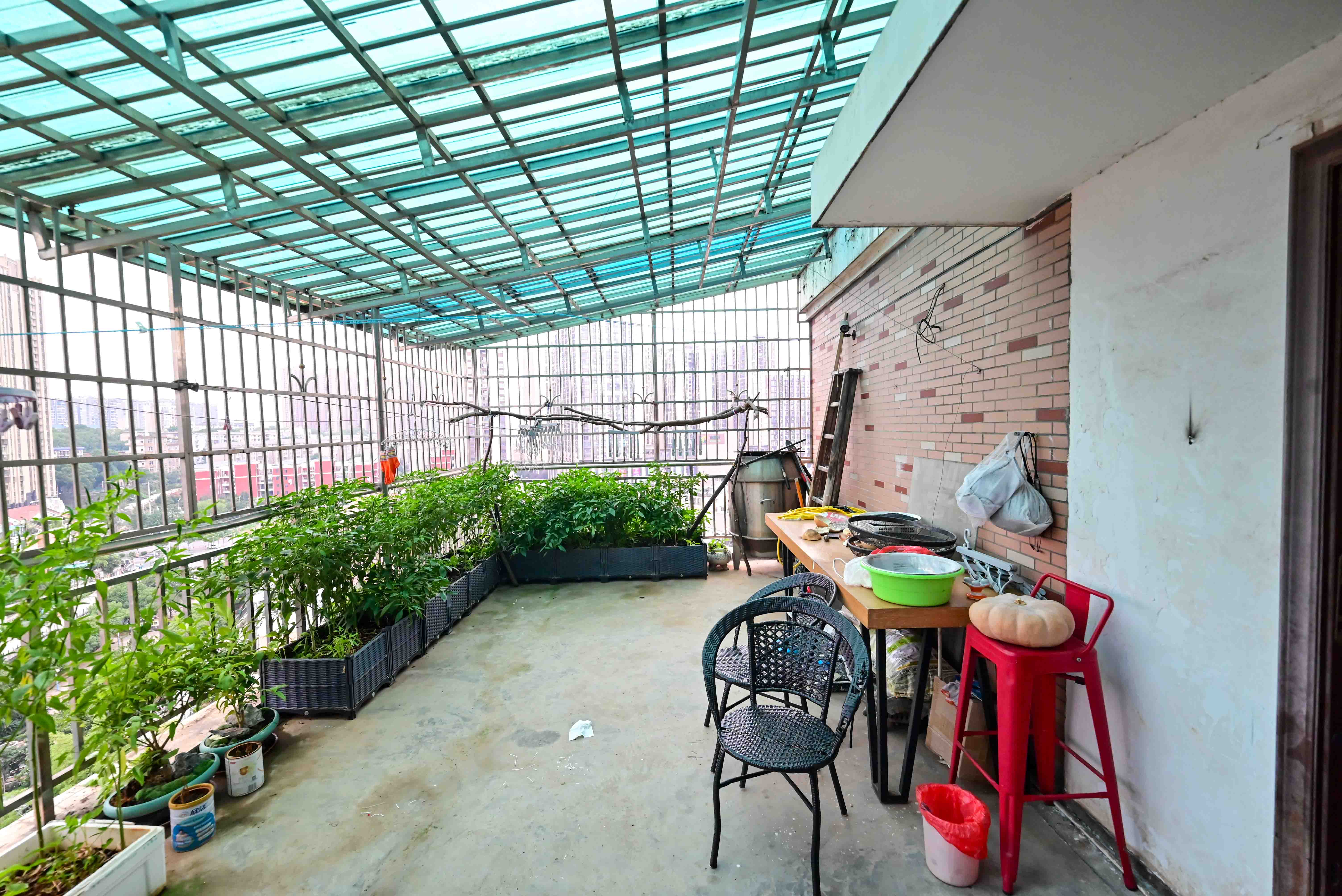 新星小区  6室3厅3卫   205.00万其他