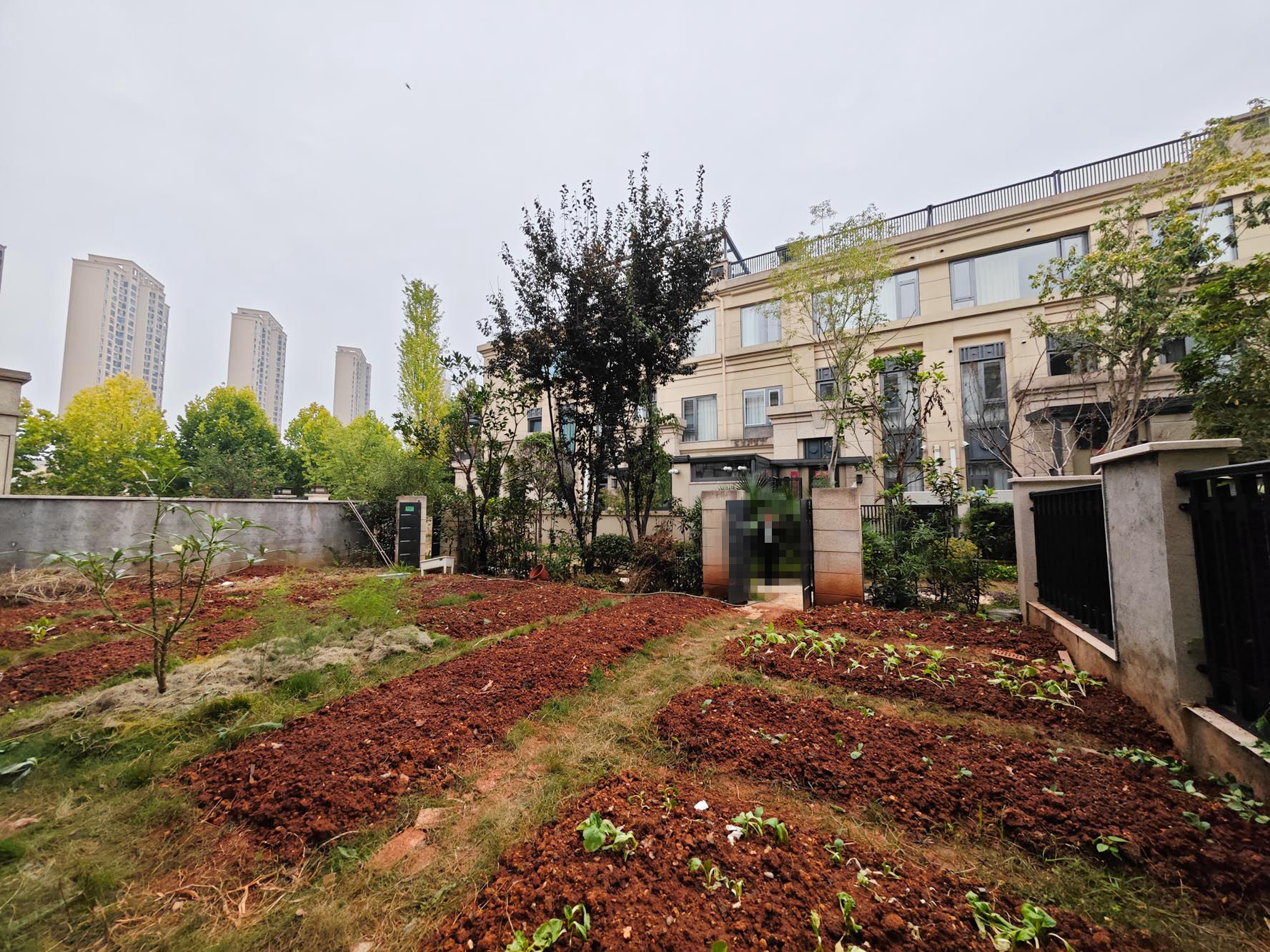 长房平和墅 5室2厅3卫 518.0万 长房平和墅 5室2厅3卫 518.0万其他