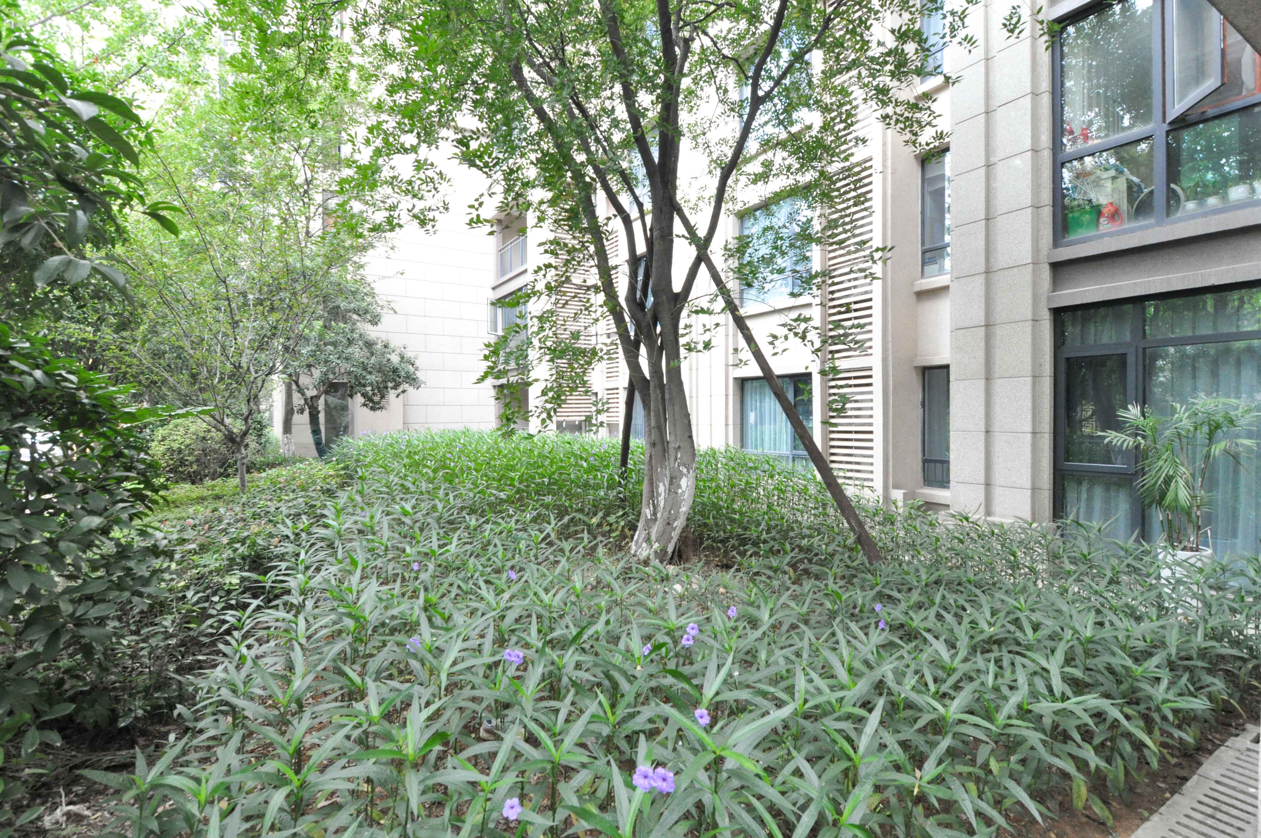 中海梅溪湖壹号 3室2厅2卫 130.0万 中海梅溪湖壹号 3室2厅2卫 130.0万其他