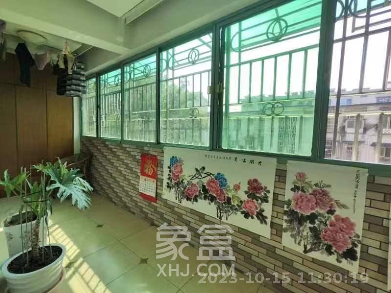 新四村  4室2厅2卫   65.80万室内图