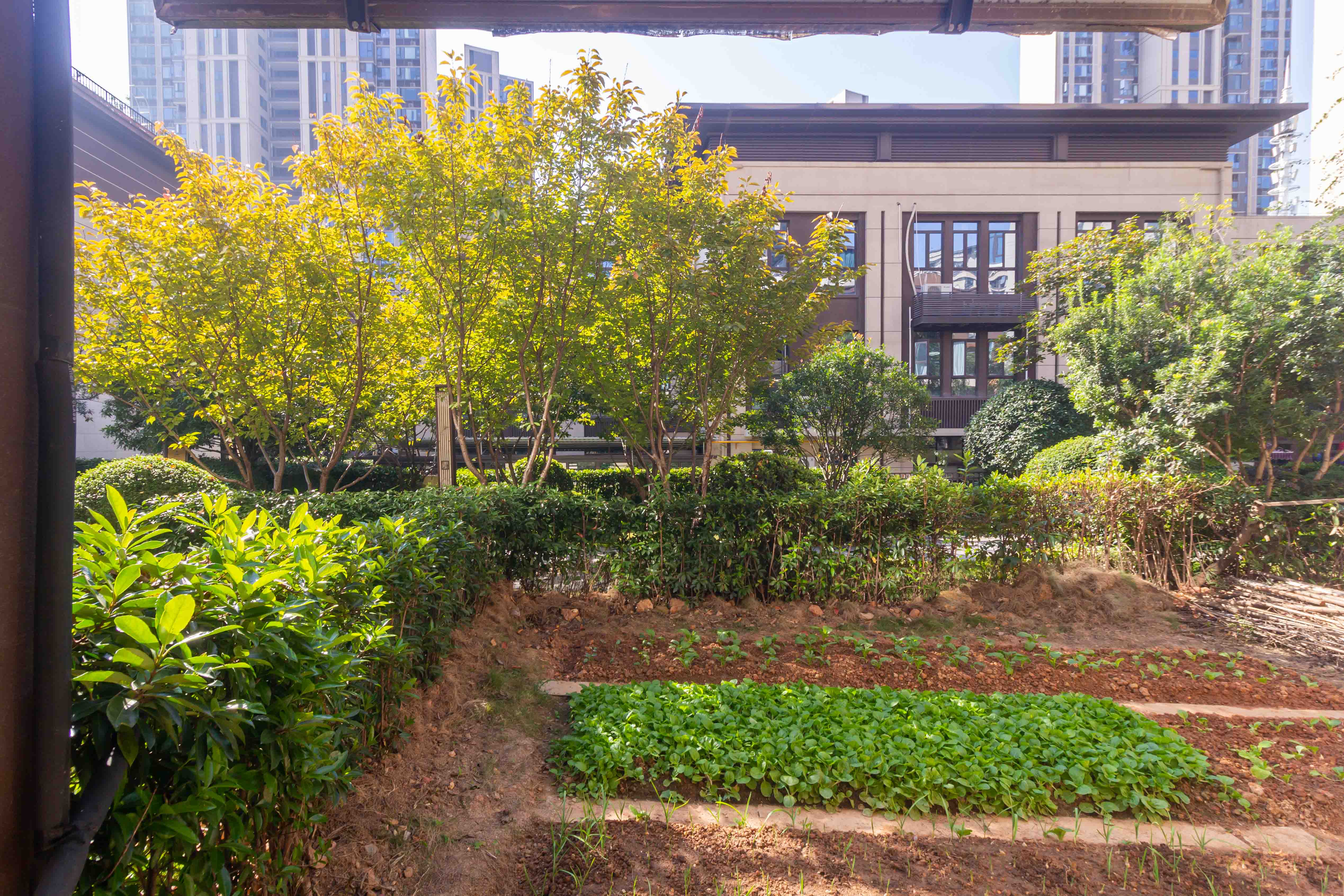 龙湖碧桂园天宸原著  4室2厅4卫    370.0万 龙湖碧桂园天宸原著  4室2厅4卫    370.0万阳台