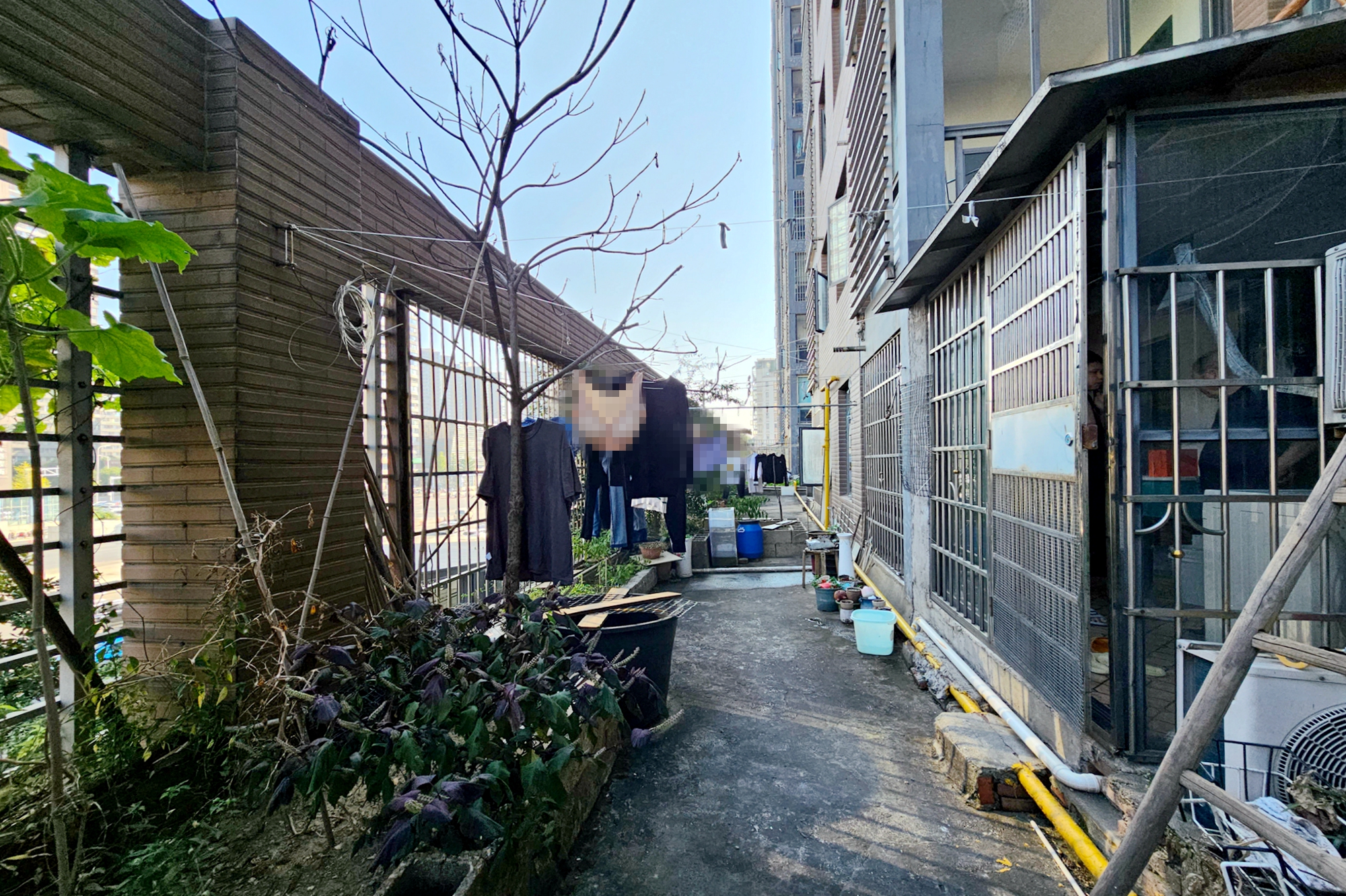仁和香堤雅境  3室2厅2卫   110.00万其他