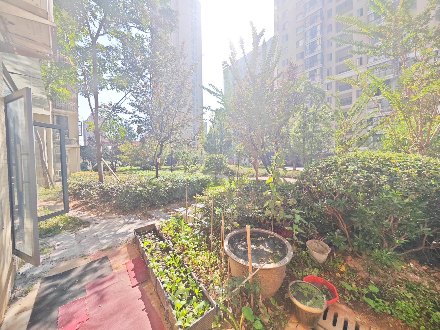 汇景豪庭  2室2厅1卫   86.00万其他