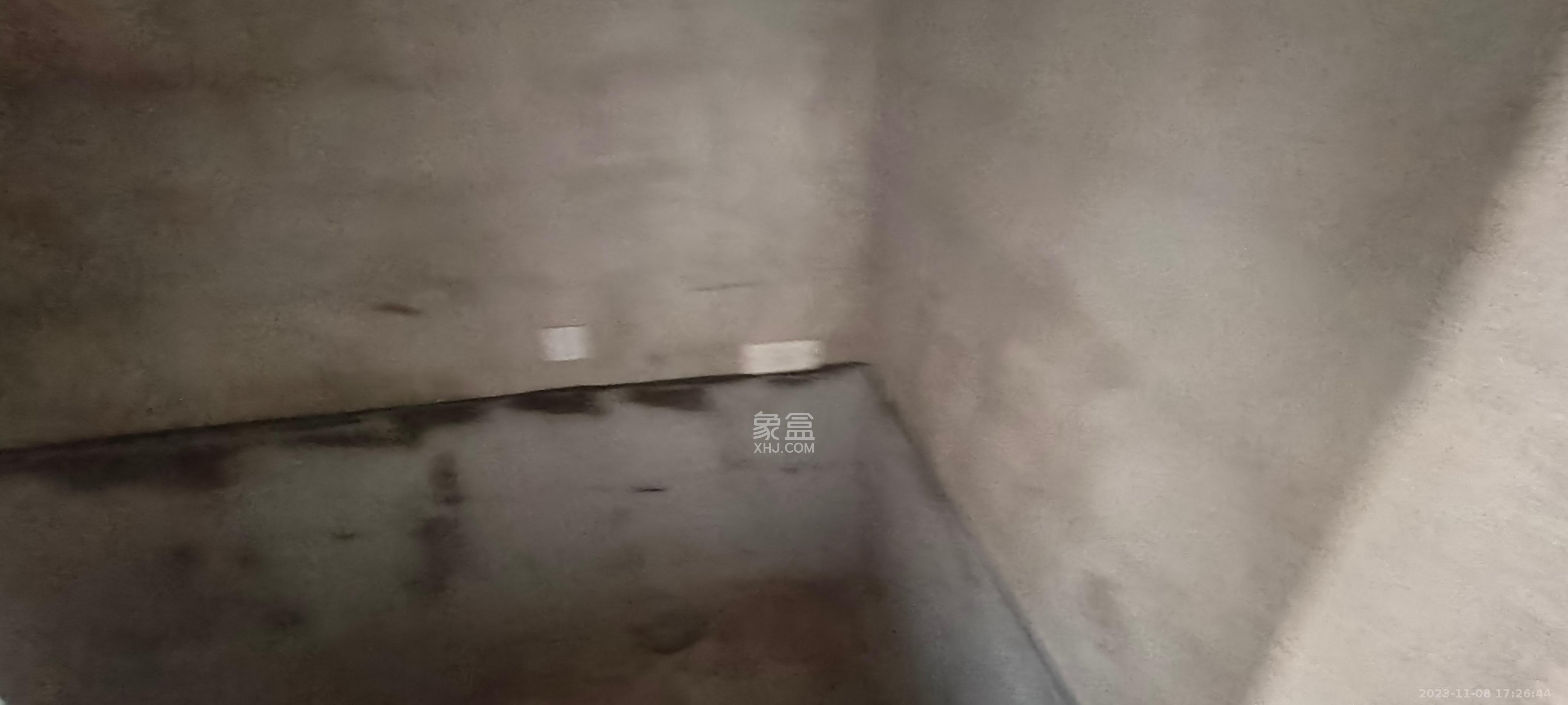 碧桂园印象  1室1厅1卫   2000.00元/月室内图
