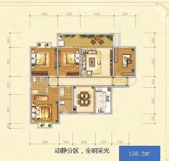 森林公馆  4室2厅2卫   90.00万