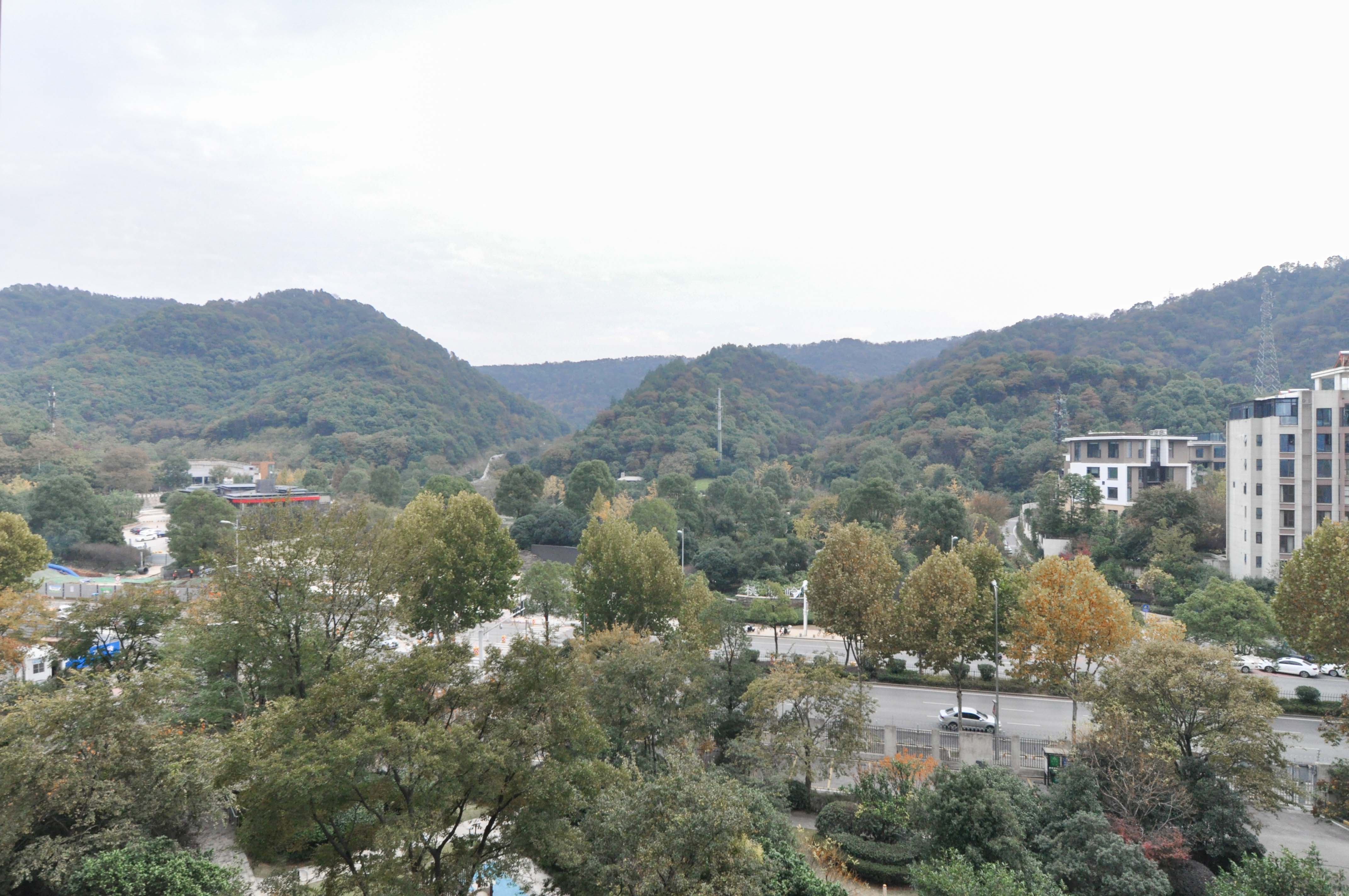 佳兆业云顶梅溪湖（佳兆业梅溪荟）  5室2厅3卫   450.00万其他