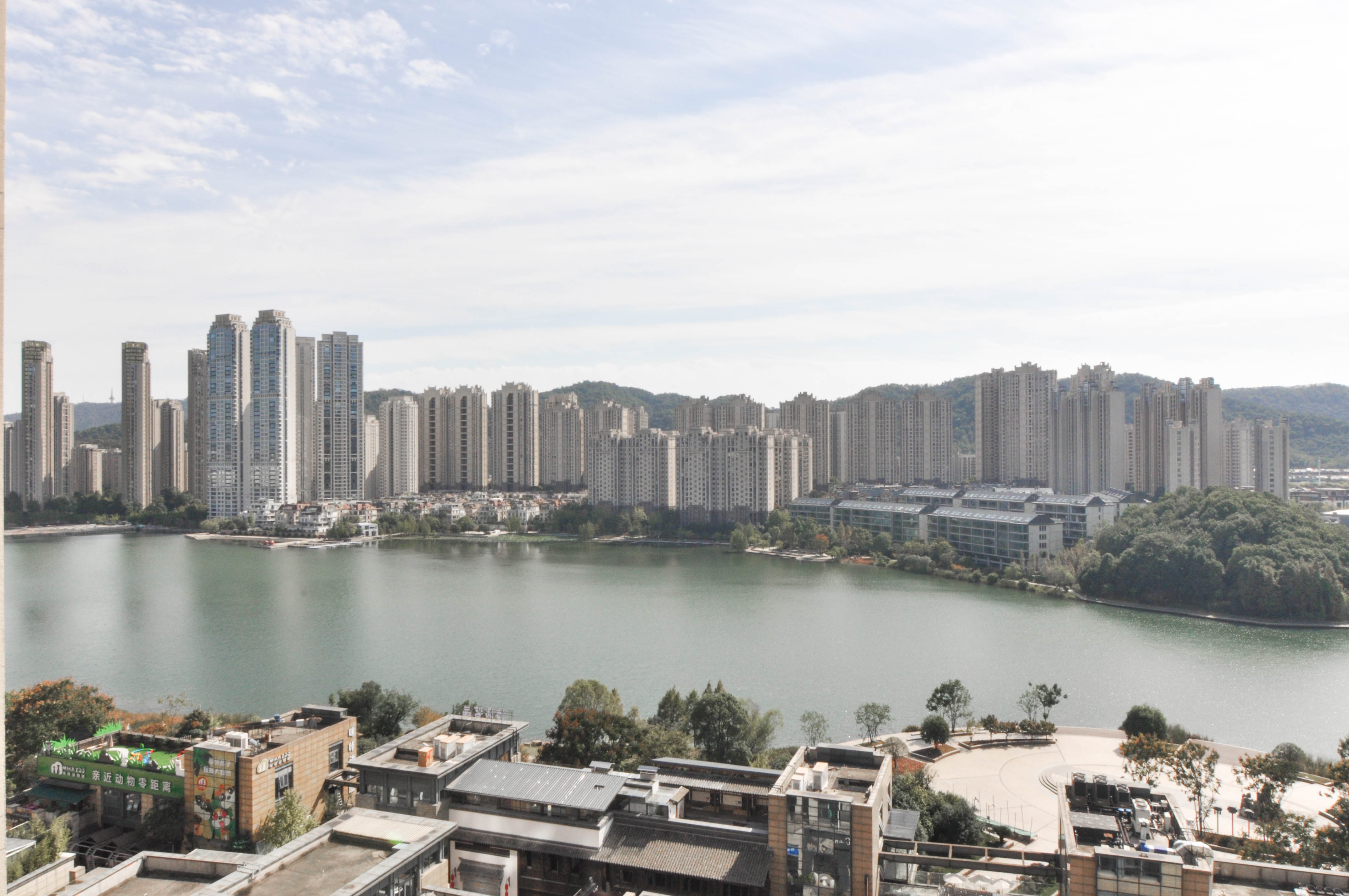 中建梅溪湖中心  4室2厅3卫   330.00万其他