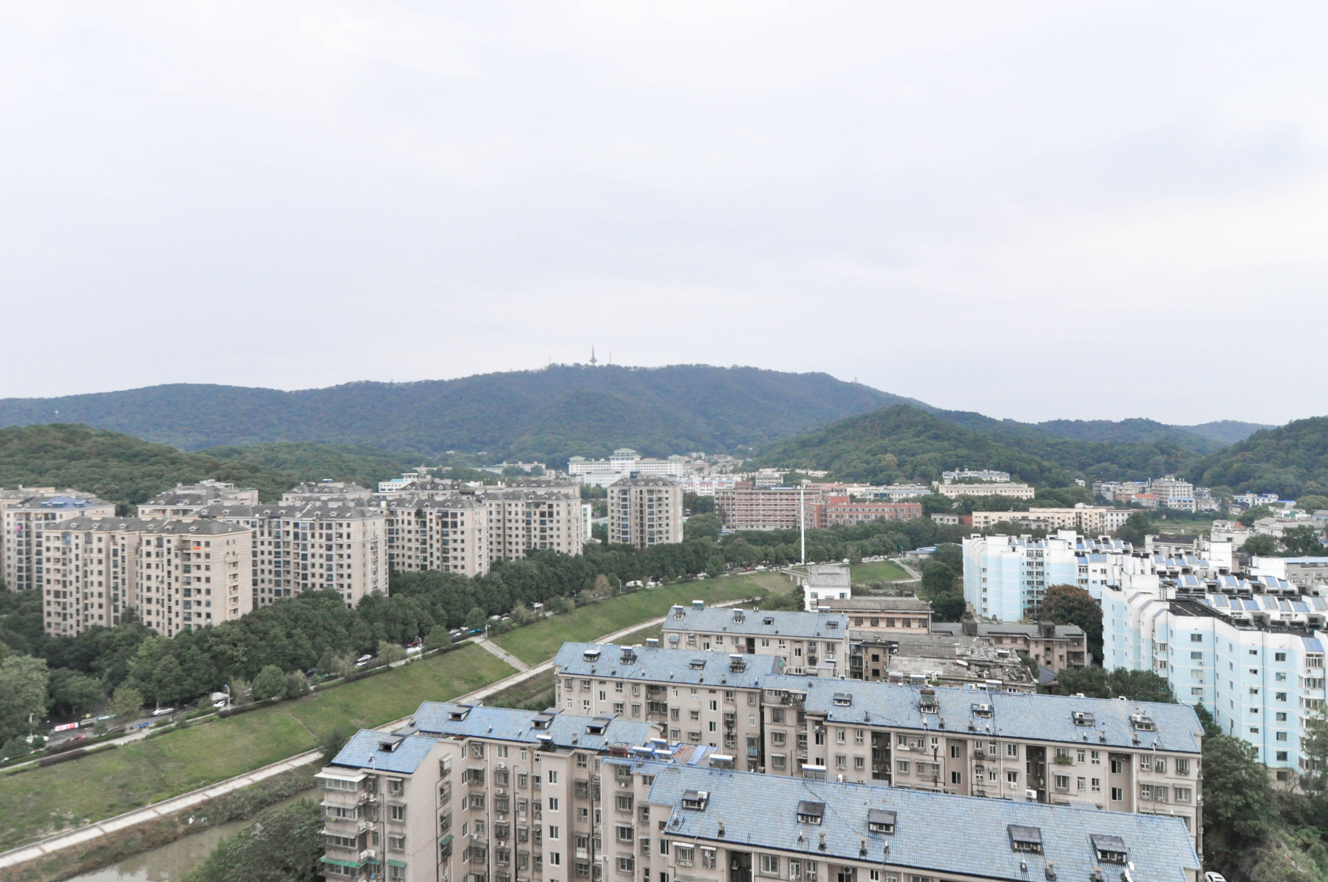 公园道  1室1厅1卫   69.00万其他