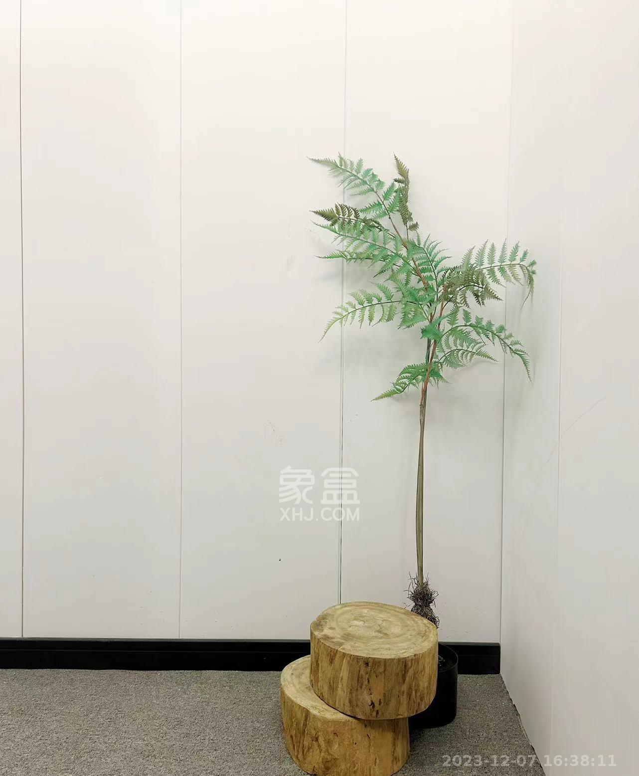 东塘大厦  1室1厅1卫   1600.00元/月室内图
