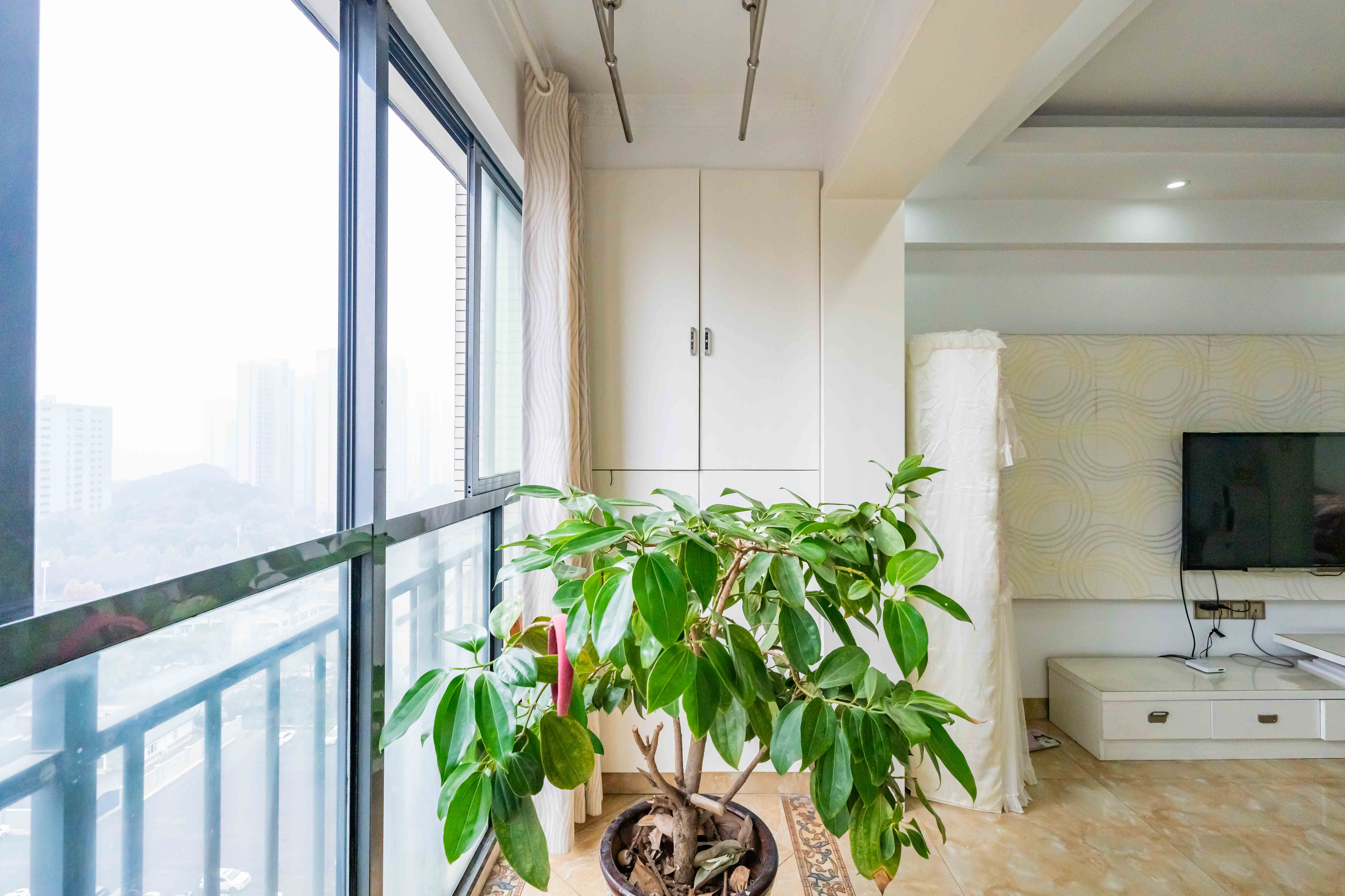 美利新世界 2室2厅1卫 56.0万 美利新世界 2室2厅1卫 56.0万阳台