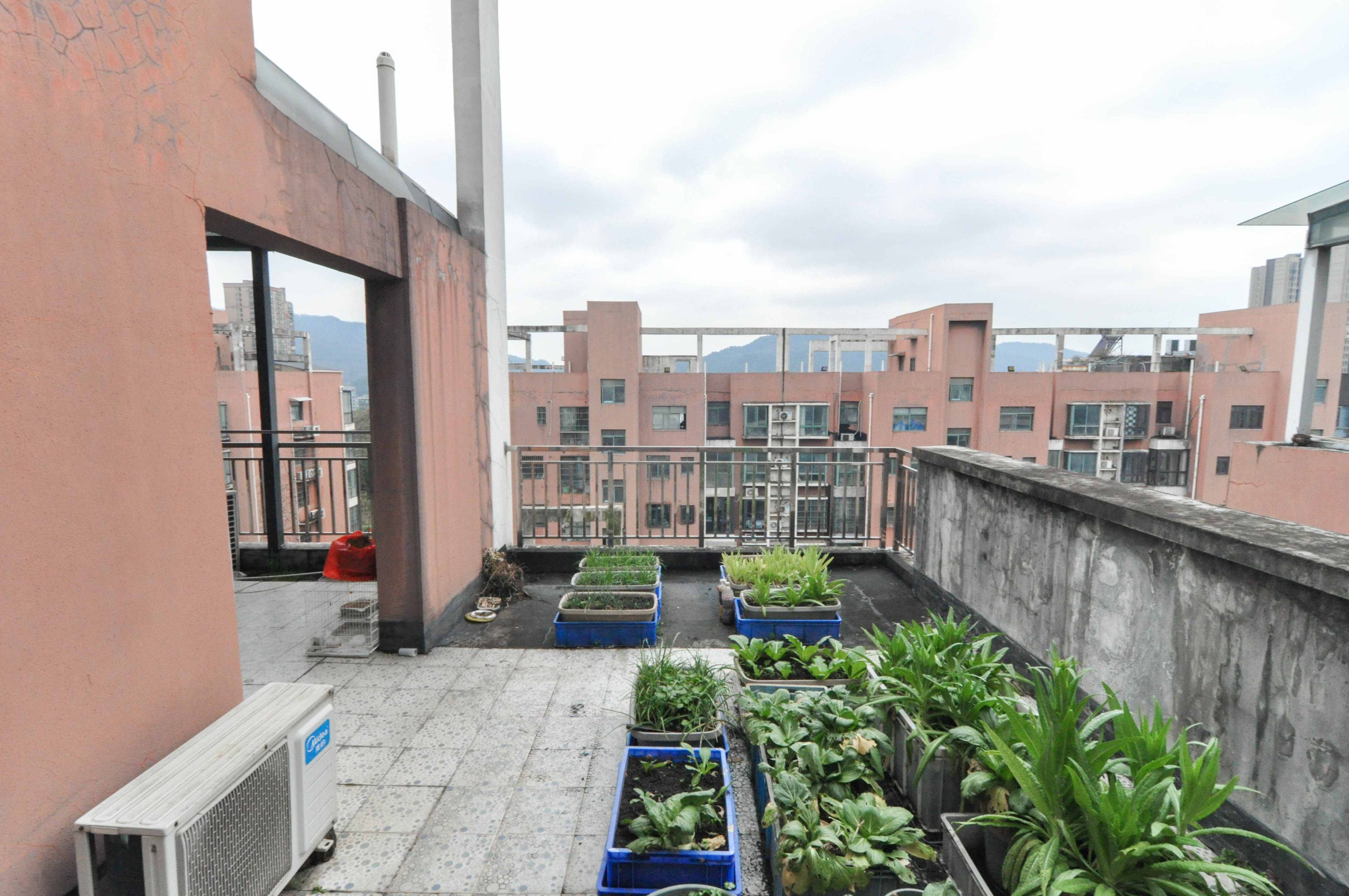 城西公寓(西城门第) 5室3厅2卫 139.0万 城西公寓(西城门第) 5室3厅2卫 139.0万其他