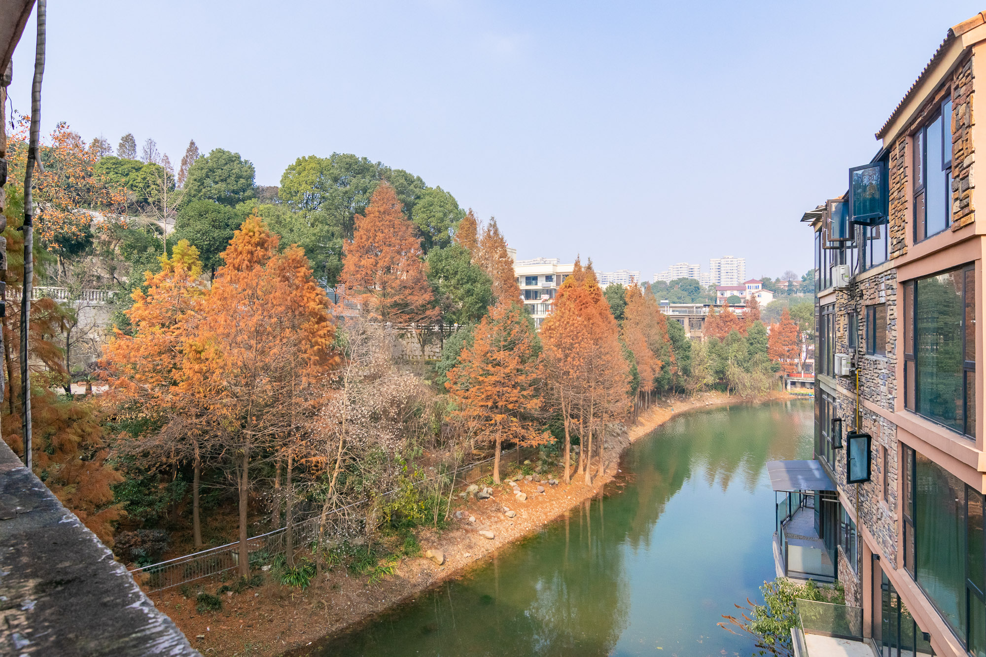悦禧国际山庄  5室3厅4卫   208.00万其他